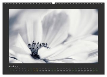 CALVENDO Wandkalender Pflanzen in Schwarz und Weiß (Premium, hochwertiger DIN A2 Wandkalender 2023, Kunstdruck in Hochglanz)