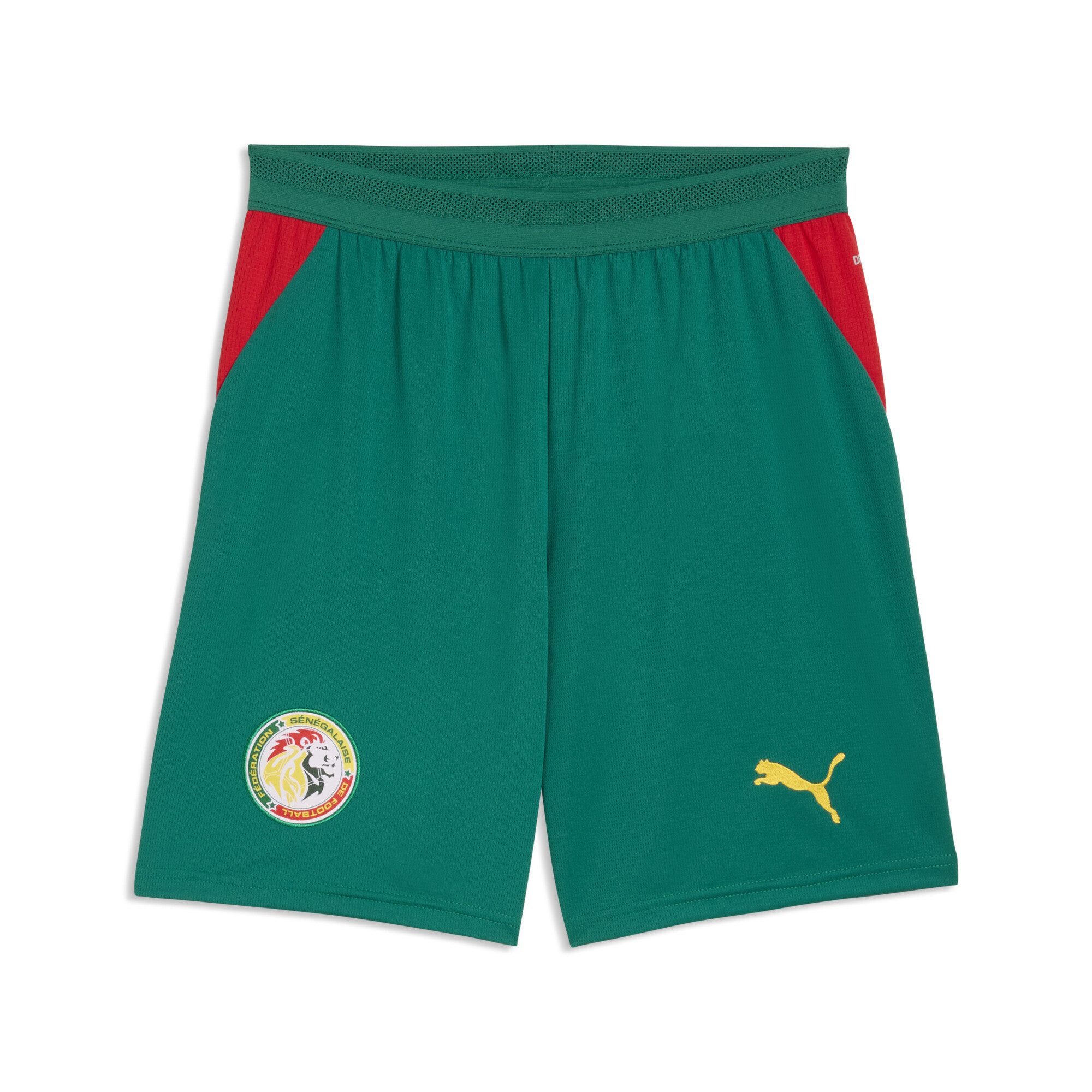 PUMA Sporthose Senegal Shorts Herren