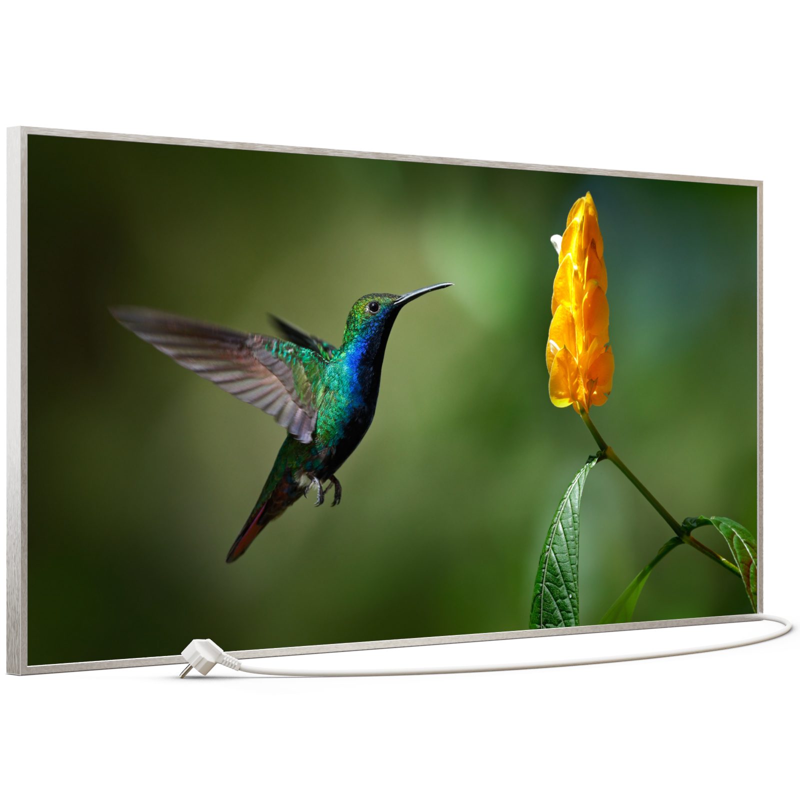 STEINFELD Heizsysteme Infrarotheizung, Bild, 750W 120x60cm, günstig online kaufen