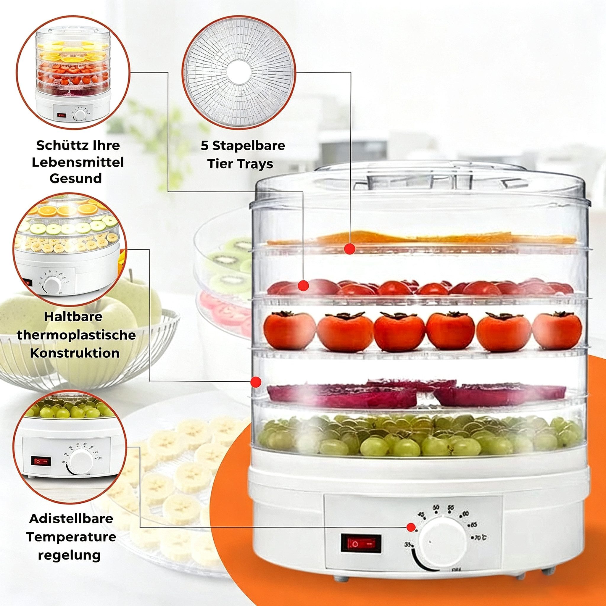 wohnTRAUM24 Dörrautomat Dörrautomat Dörrgerät mit Temperaturregler, 5 Einlegefächer, 35-70°C 350 W, 5 Etagen, Vielseitig für Obst, Fleisch, Fisch & Kräuter – Bild 4 von 5
