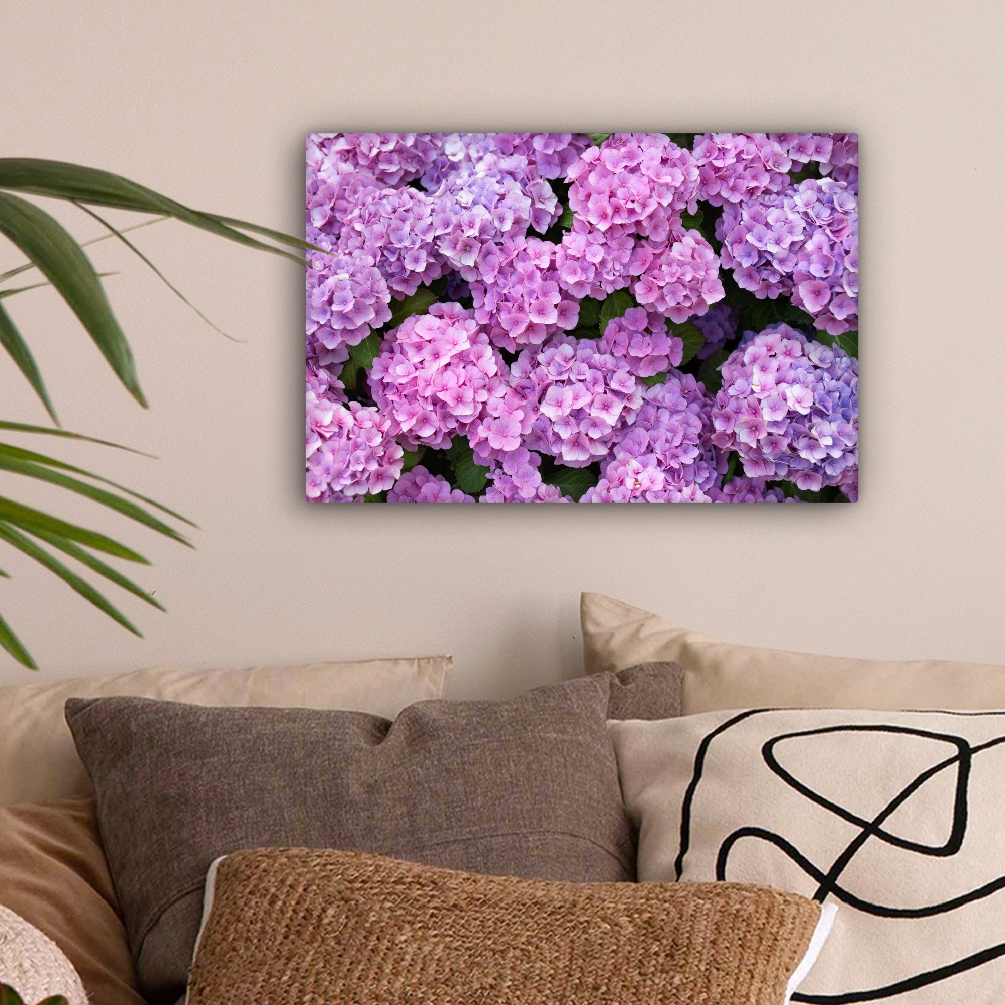 OneMillionCanvasses® Leinwandbild Blumen - Hortensie - günstig online kaufen