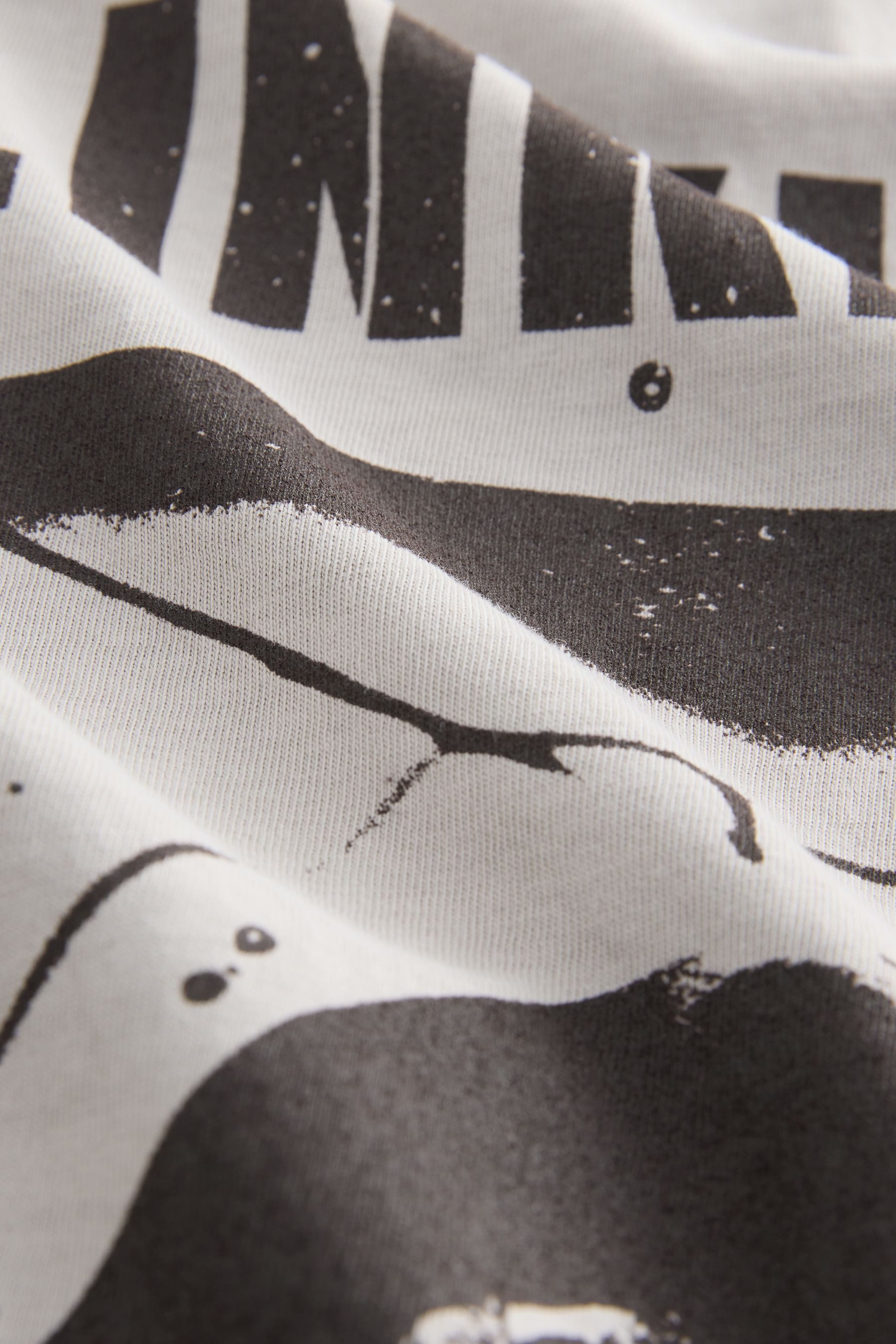 Next T-Shirt Regular Fit Band-T-Shirt mit günstig online kaufen