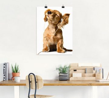Artland Wandbild Junger Hund hört Musik über Kopfhörer, Haustiere (1 St), als Leinwandbild, Poster, Wandaufkleber in verschied. Größen