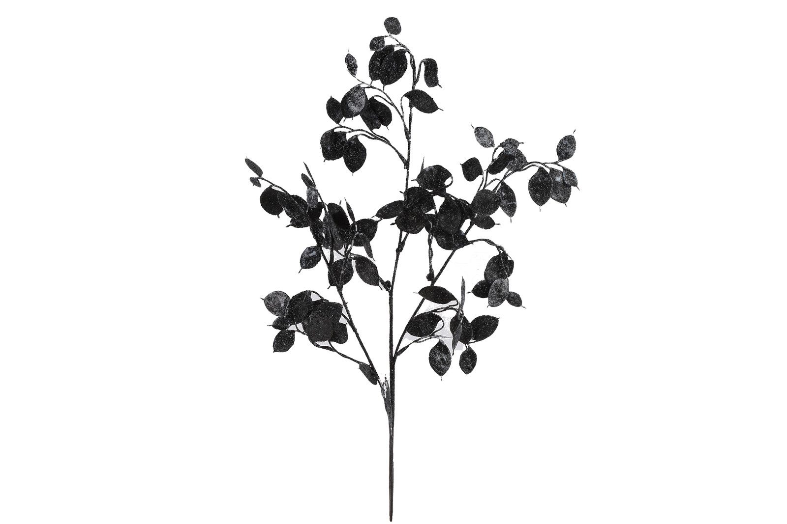 Kunstzweig Dekozweig Lunaria schwarz 67cm