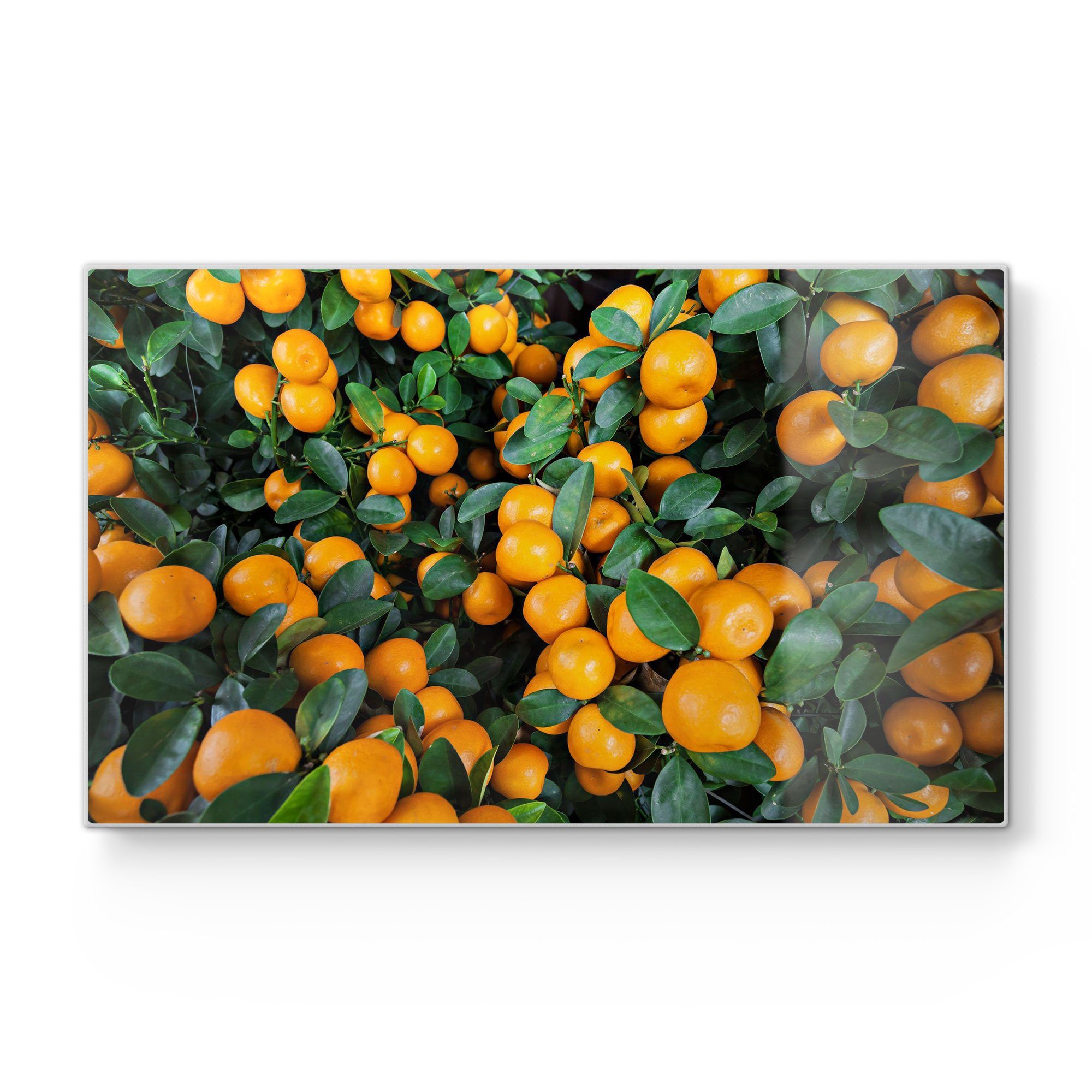 DEQORI Schneidebrett 'Mandarinenbaum nah', Glas, Platte Frühstücksbrett Schneideplatte