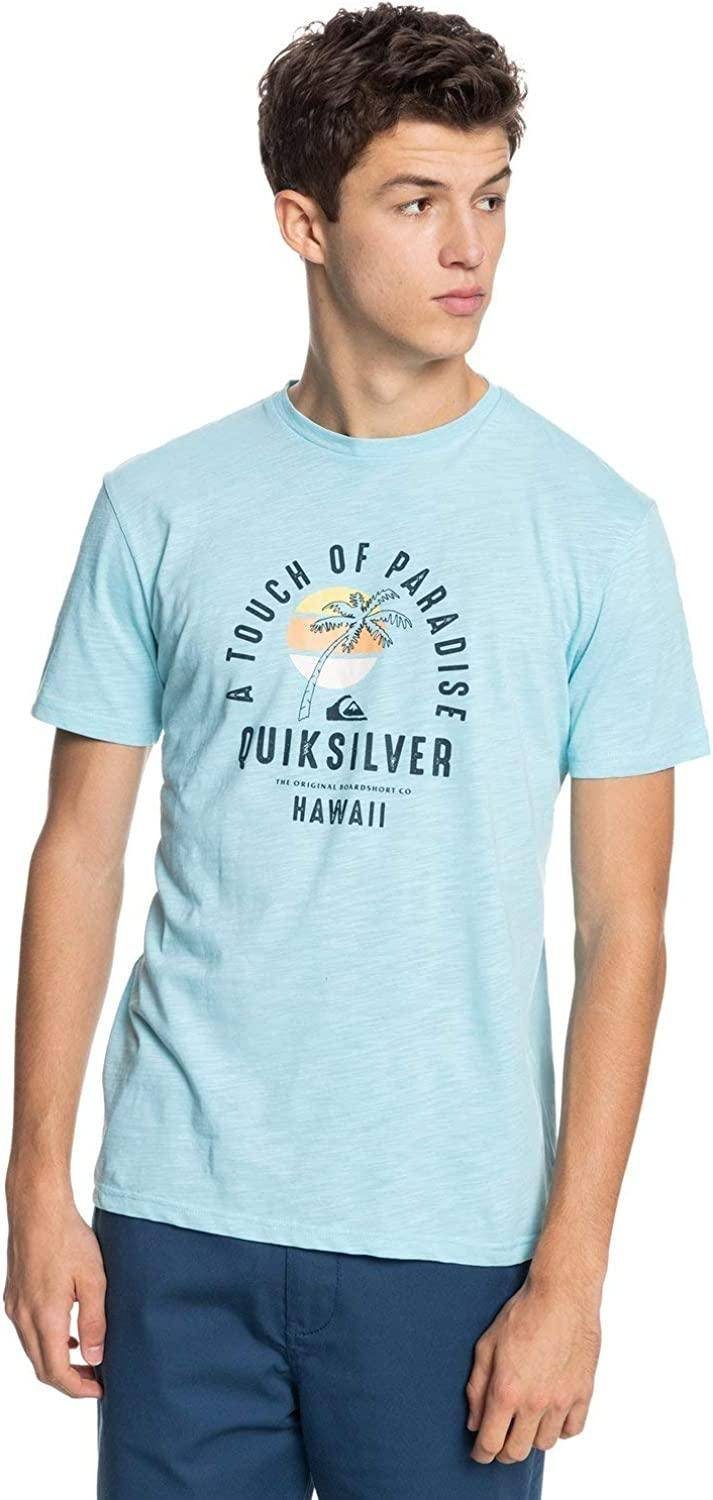 Quiksilver Print-Shirt QUIET HOURS T-Shirt Männer für