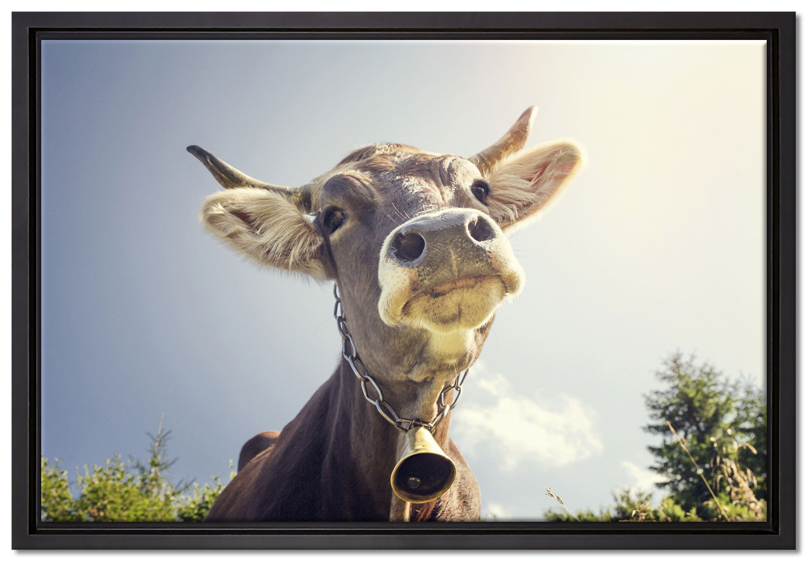 Pixxprint Leinwandbild Lustiges Portrait einer Kuh, Wanddekoration (1 St), Leinwandbild fertig bespannt, in einem Schattenfugen-Bilderrahmen gefasst, inkl. Zackenaufhänger