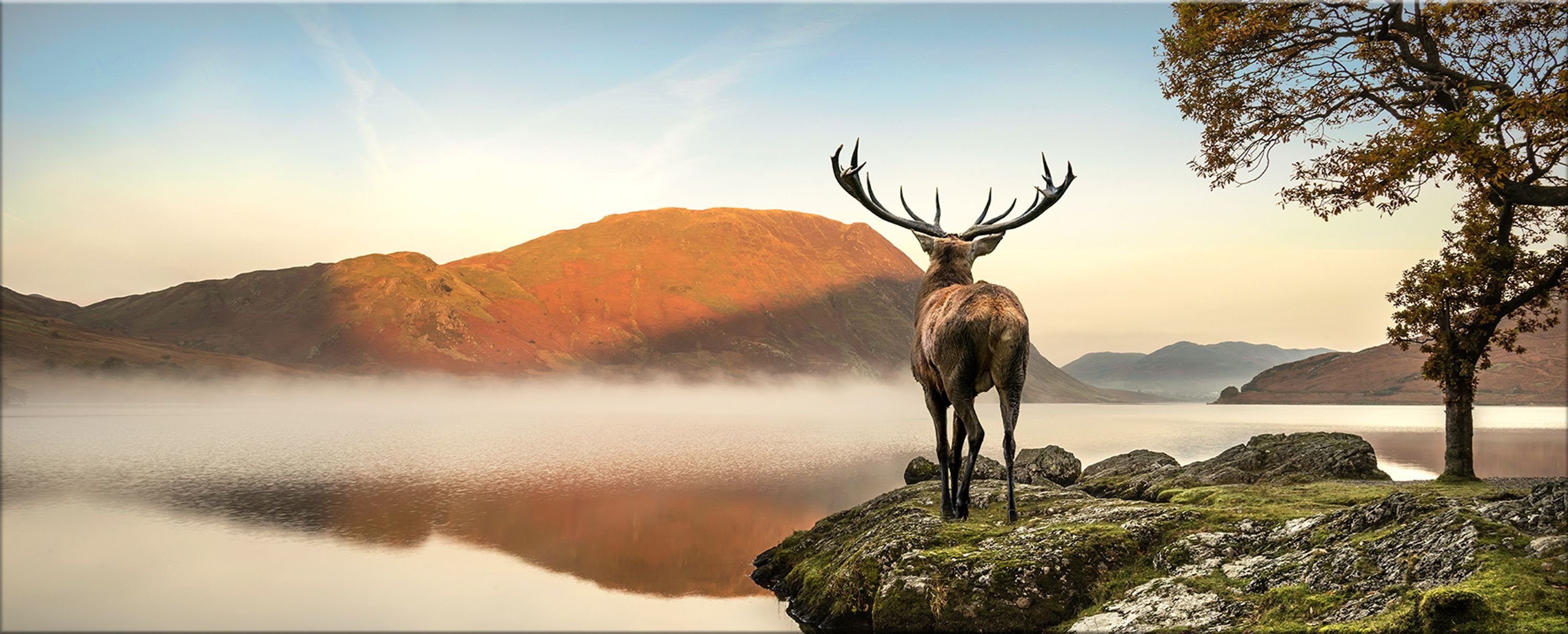 artissimo Glasbild Glasbild XXL 125x50 cm Bild aus Glas Wandbild groß Natur Tiere braun, Berge: Hirsch am See | Bilder
