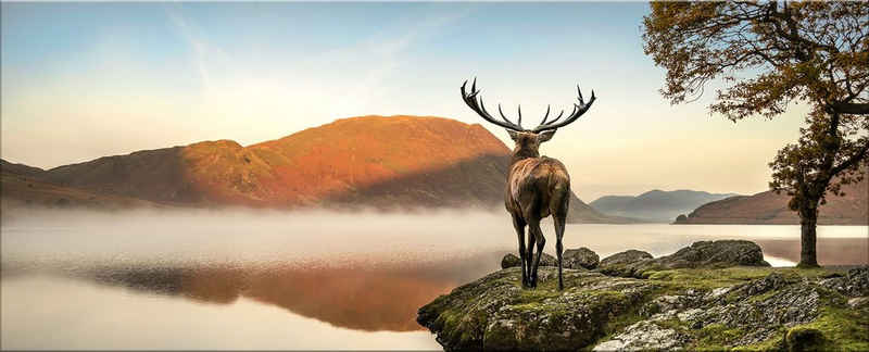 artissimo Glasbild Glasbild XXL 125x50 cm Bild aus Glas Wandbild groß Natur Tiere braun, Berge: Hirsch am See