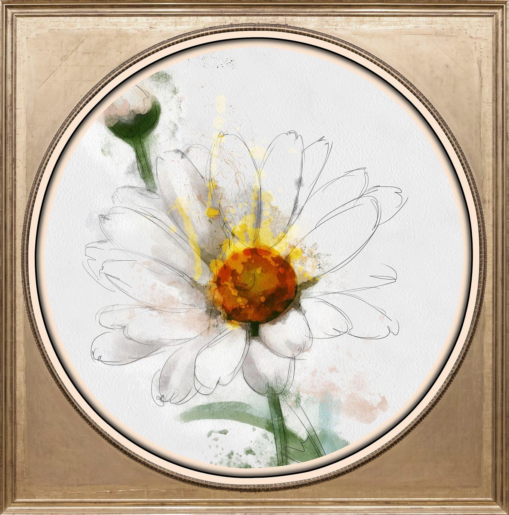 Acrylglasbild Blüte Weiße queence