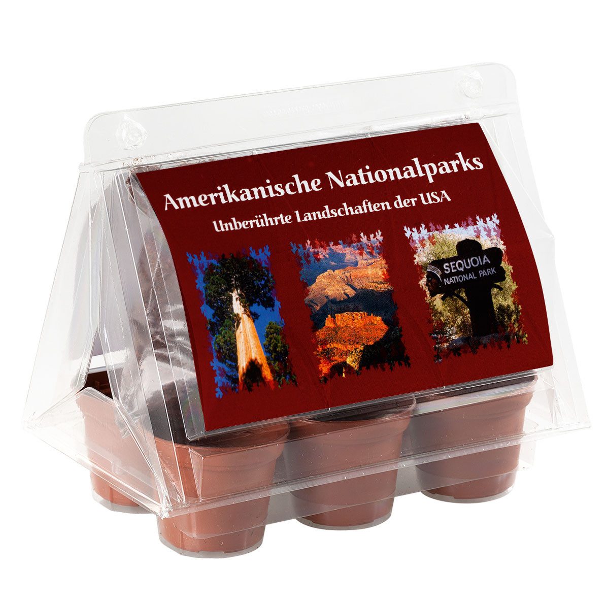 Gewächshaus Mini-Gewächshaus - American National Plants - mit Samen vom Mam günstig online kaufen