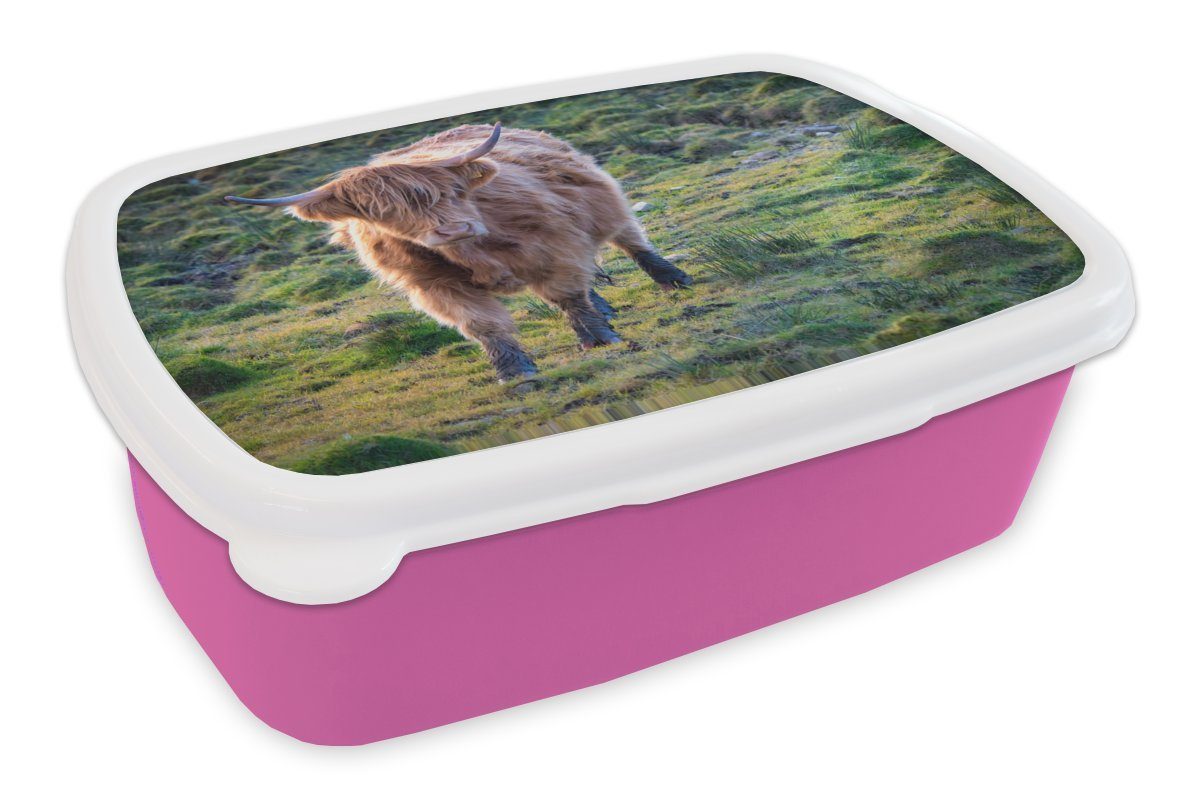 MuchoWow Lunchbox Schottische Highlander - Gras - Herbst, Kunststoff, (2-tlg), Brotbox für Erwachsene, Brotdose Kinder, Snackbox, Mädchen, Kunststoff rosa
