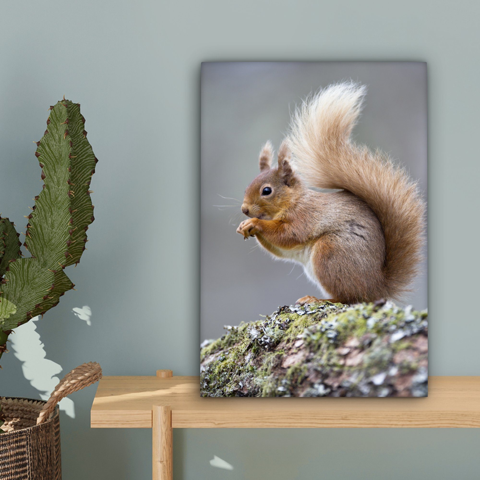 fertig bespannt OneMillionCanvasses® Eichhörnchen, inkl. 20x30 Leinwandbild Leinwandbild Gemälde, cm Zackenaufhänger, Weibliches St), (1 rotes