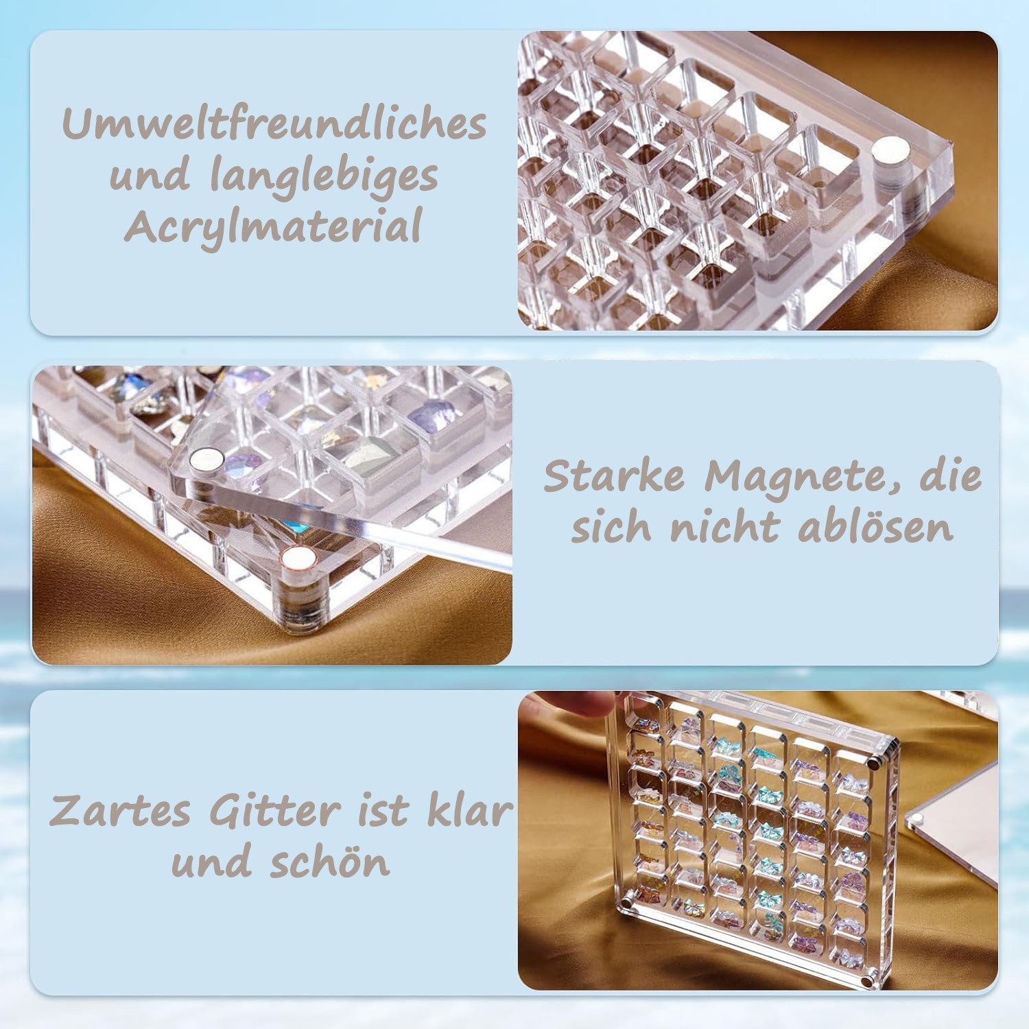 Refttenw Aufbewahrungsbox Acryl Seashell Display Box Sammelkoffer Muschel-Displaybox 12x12cm (2 St)