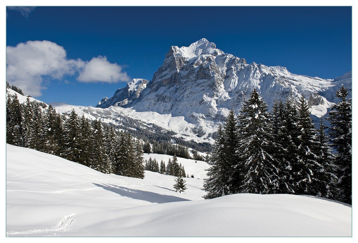 Wallario Küchenrückwand Verschneiter Berghang unter blauem Himmel, (1-tlg)
