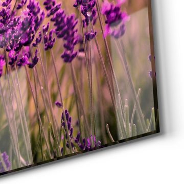 DEQORI Glasbild 'Lavendelblüten im Regen', 'Lavendelblüten im Regen', Glas Wandbild Bild schwebend modern