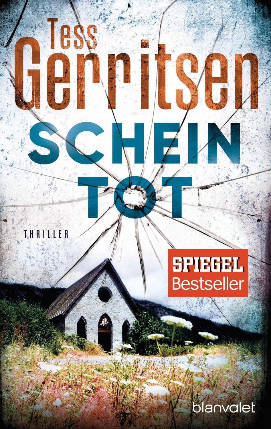 Belletristik Scheintot Thriller Tess Gerritsen