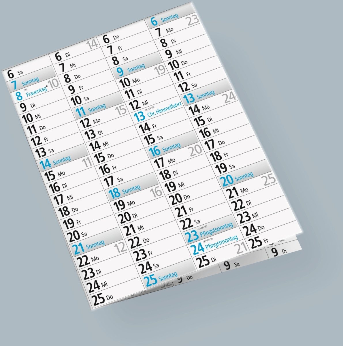 rido ide Lesezeichenkalender Jahresplaner 102x68cm 14 Monate 2025