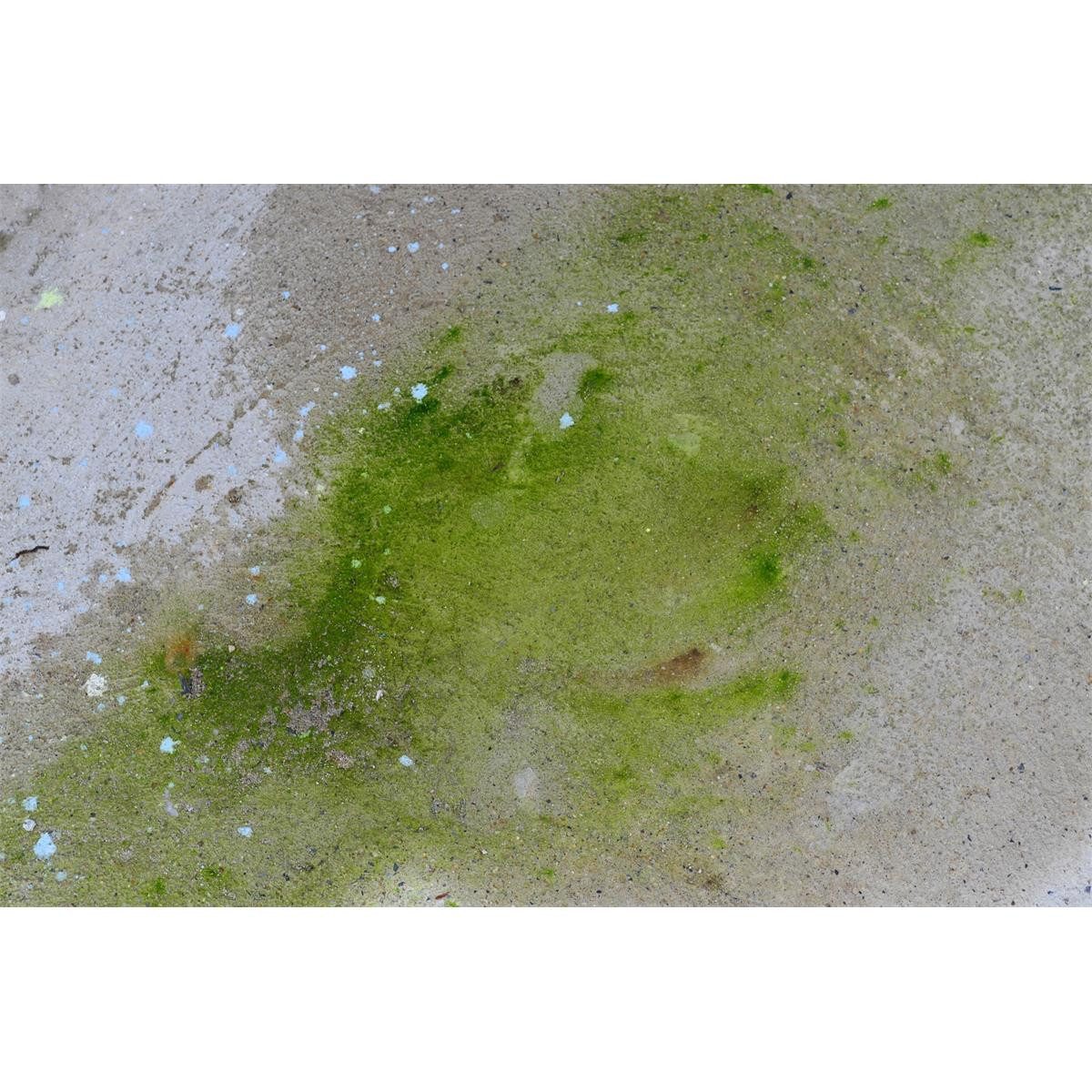 Mellerud Mellerud Algen und Grünbelag Entferner 1,75L Konzentrat (4er Pack) Spezialwaschmittel