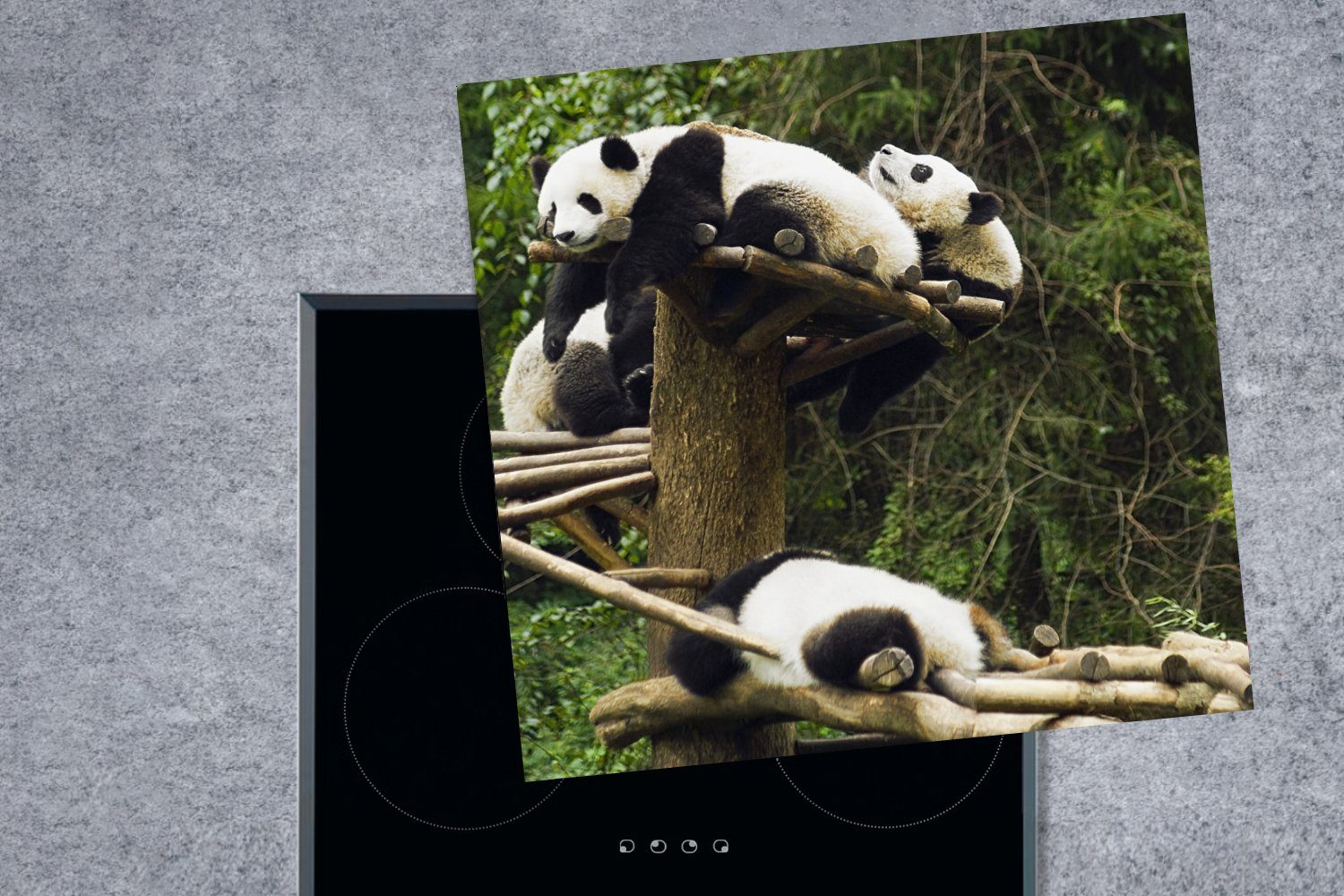 78x78 MuchoWow cm, Pandas - Herdblende-/Abdeckplatte Vinyl, (1 Treppe, Arbeitsplatte Holz Ceranfeldabdeckung, für küche - tlg),