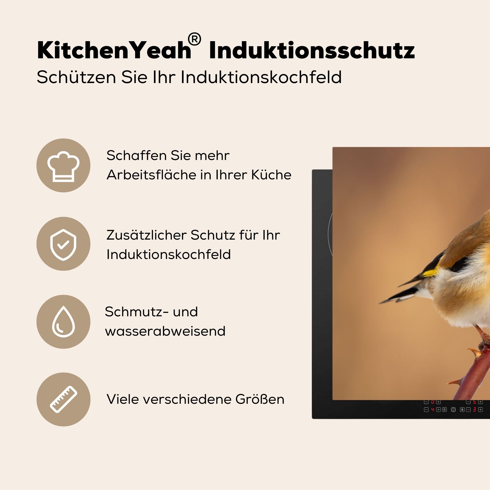küche für Herdblende-/Abdeckplatte 81x52 - Ceranfeldabdeckung, (1 Vogel MuchoWow Vinyl, Kropftaube - Tiere, Arbeitsplatte cm, tlg),