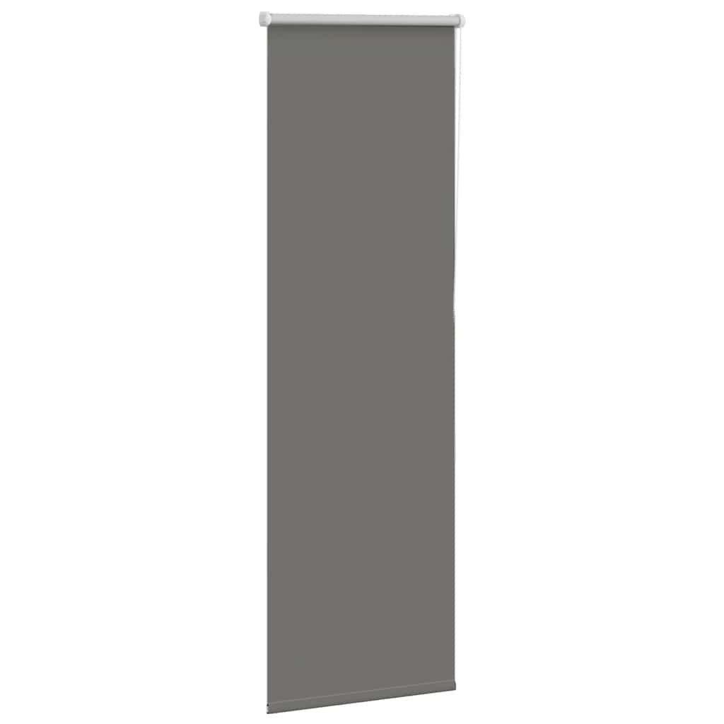 Rollo Verdunkelungsrollo Grau 60x150 cm Stoffbreite 55,7 cm Polyester, vida günstig online kaufen
