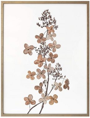 Wall-Art Poster Hortensie, Blumen (1 St), Poster ohne Bilderrahmen