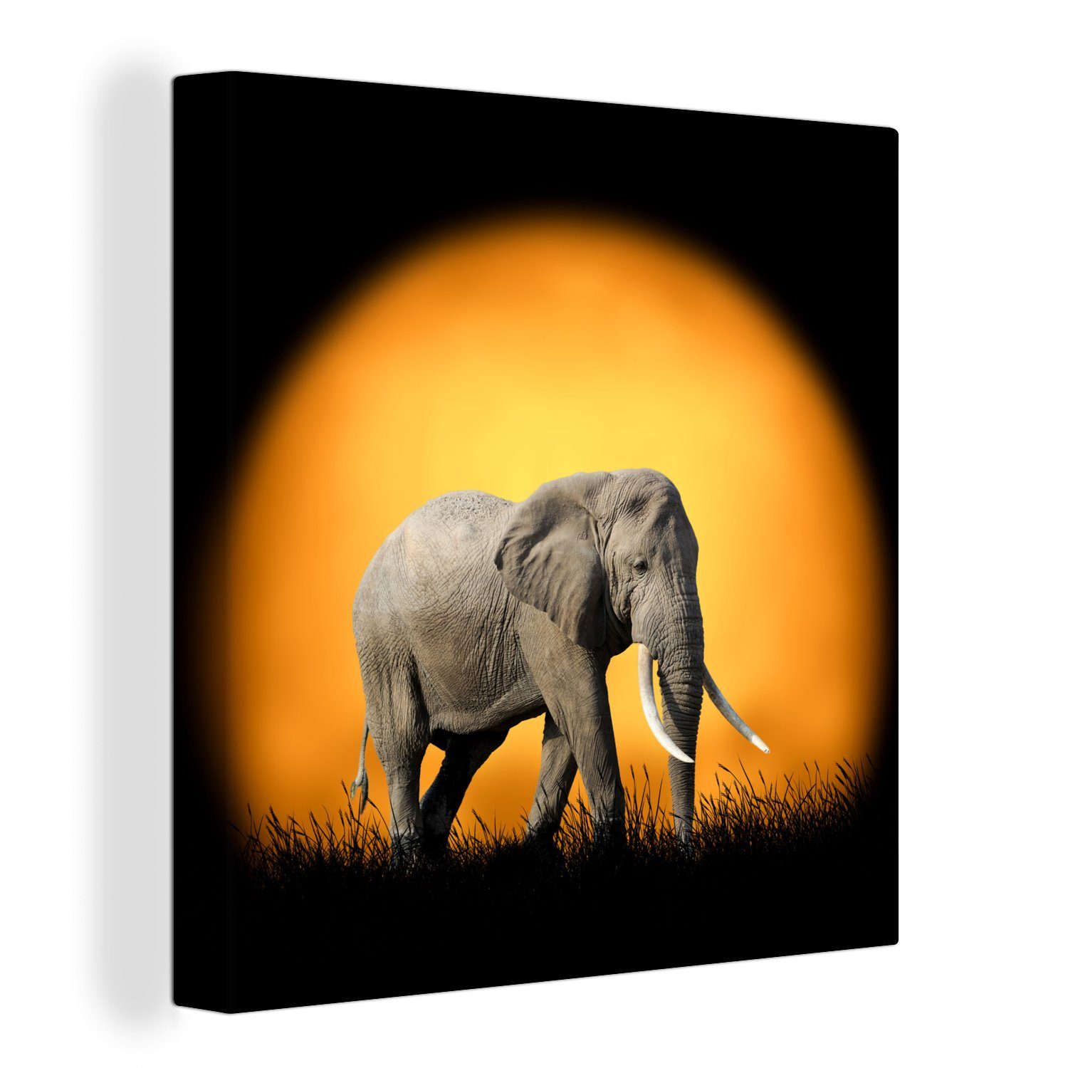 OneMillionCanvasses® Leinwandbild Elefant - Sonne - Zähne, (1 St), Leinwand Bilder für Wohnzimmer Schlafzimmer