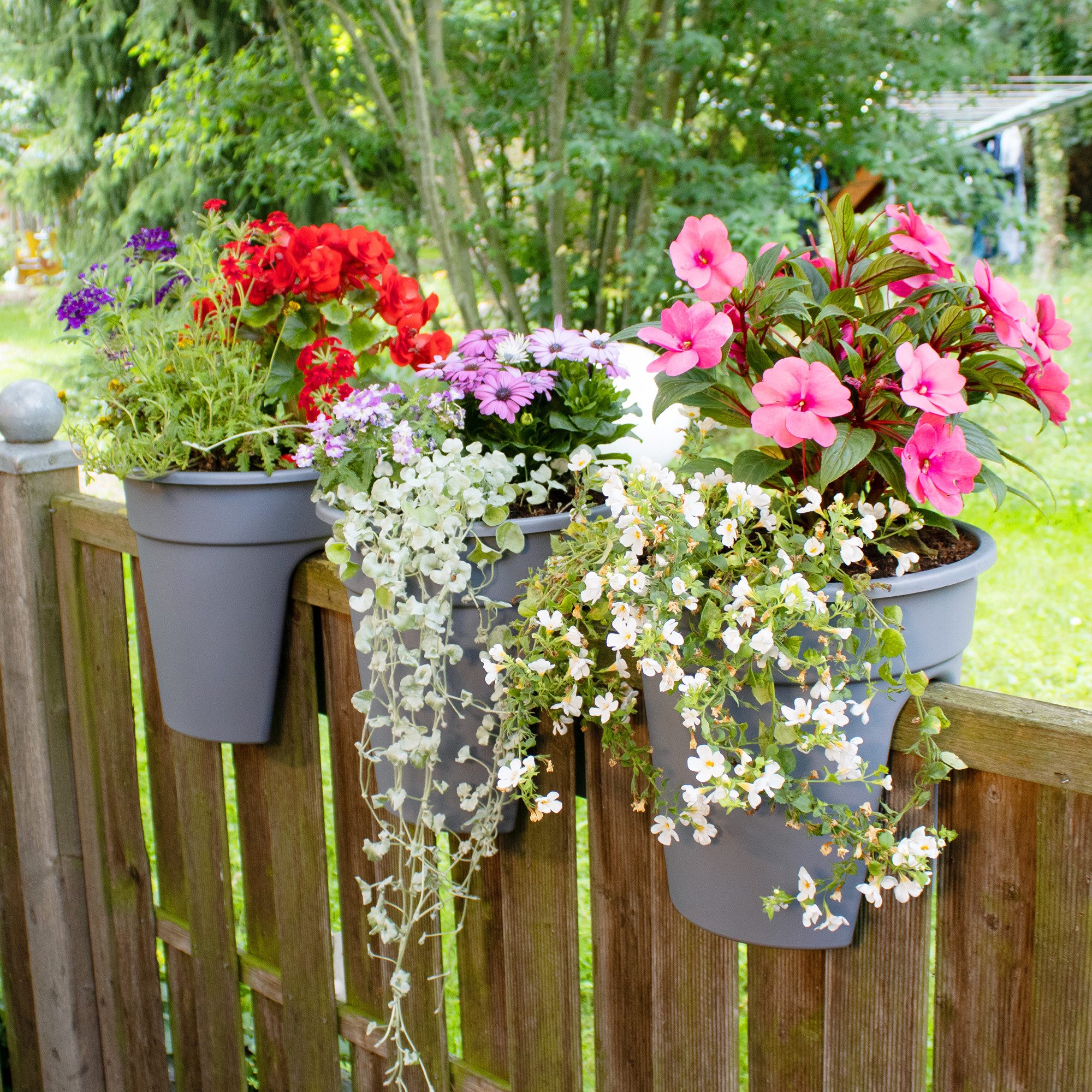 NYVI Blumenkasten Blumenkasten mit Halterung Flowerclip günstig online kaufen