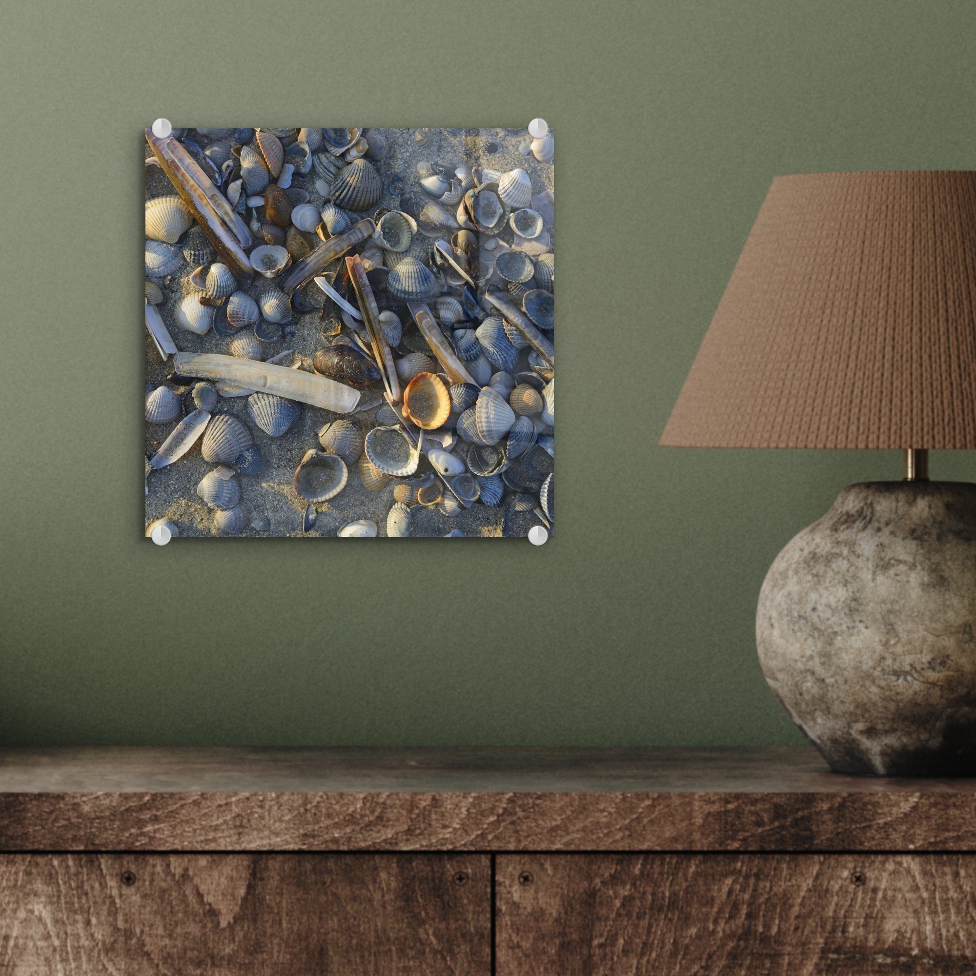 - Acrylglasbild am Glas - Bilder Glasbilder Glas St), Wanddekoration Muscheln (1 auf auf Wandbild - Foto MuchoWow Strand Vlieland,