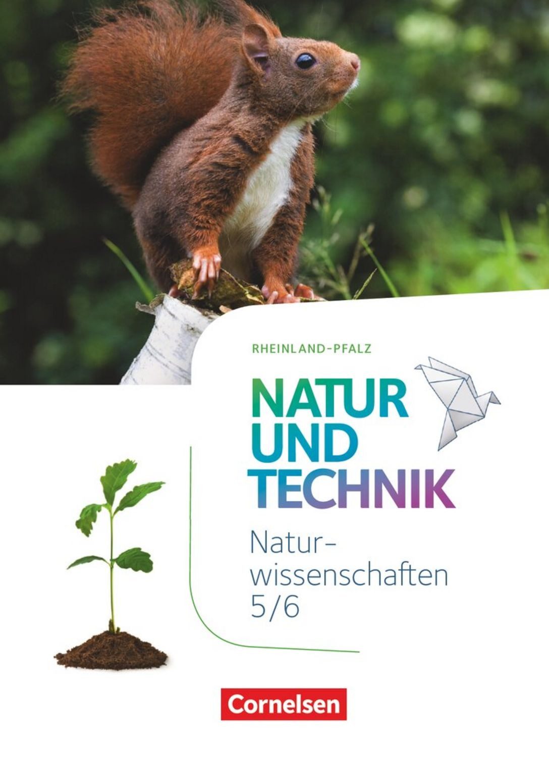 Natur und Technik - Naturwissenschaften: Neubearbeitung - Rheinland-Pf / Bernd Heepmann, Jochim Lichtenberger, Gottfried Wiedenmann, Cornelia Pätzelt, Wilhelm Schröder