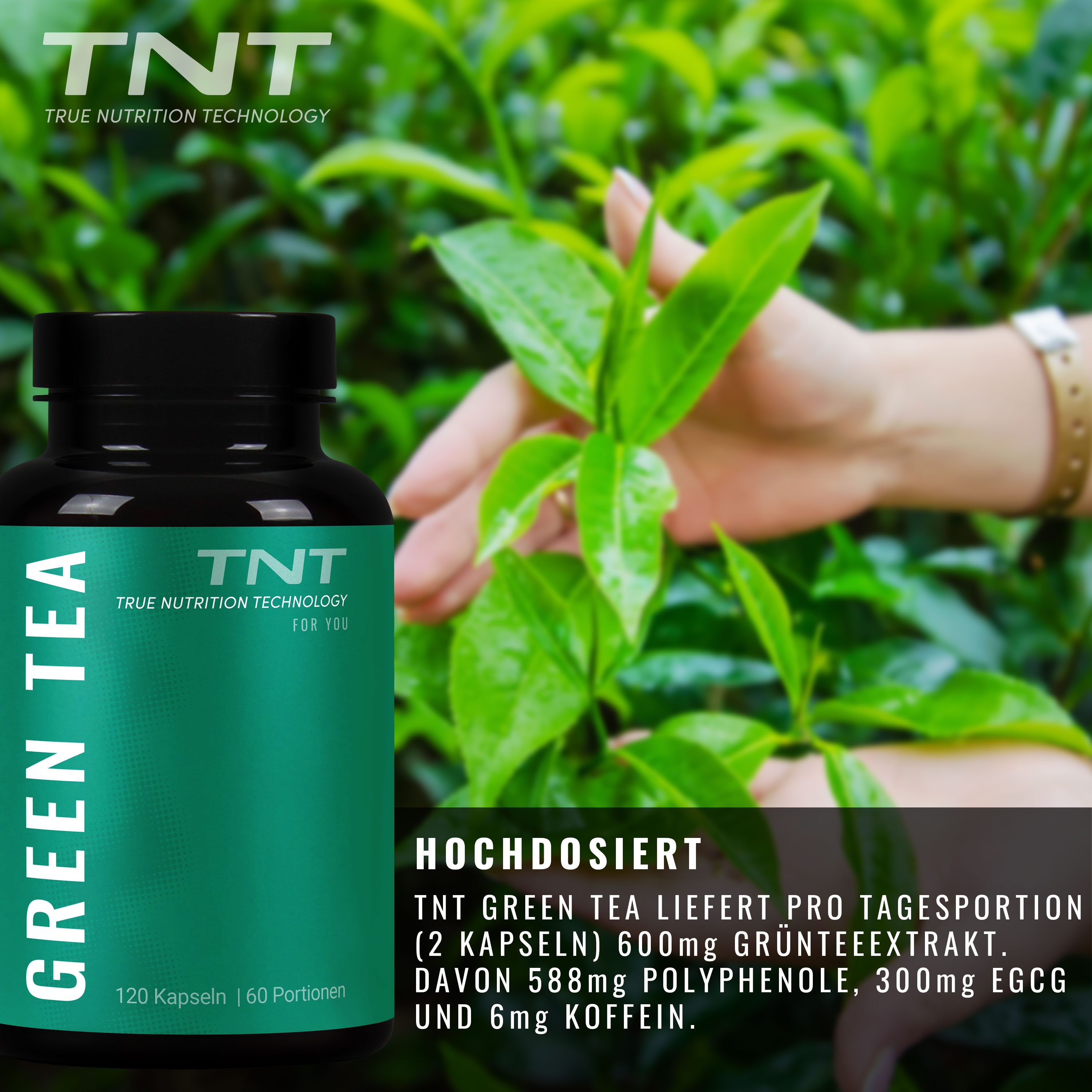 TNT (True Nutrition Technology) Green Tea - hohen EGCG-Gehalt von 150mg/Kapsel Kapseln, 120 St., 72 g