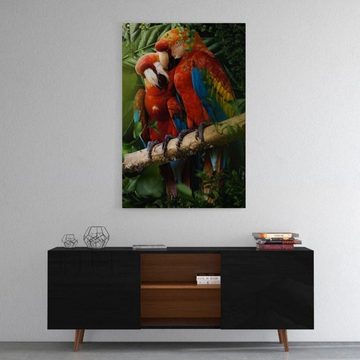 Hustling Sharks Leinwandbild Vogel-Bild als XXL-Leinwandbild "Beautiful Parrots", in 7 unterschiedlichen Größen verfügbar