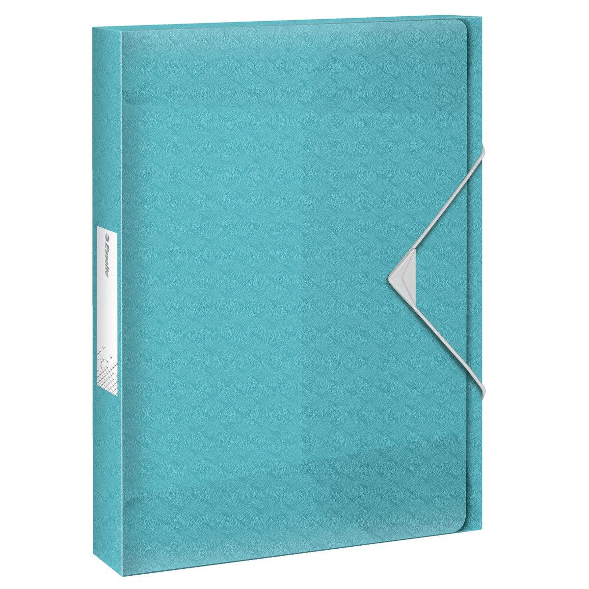 LEITZ Organizer LEITZ Ablagebox Colour'Breeze mit Rückenschild blau DIN A4