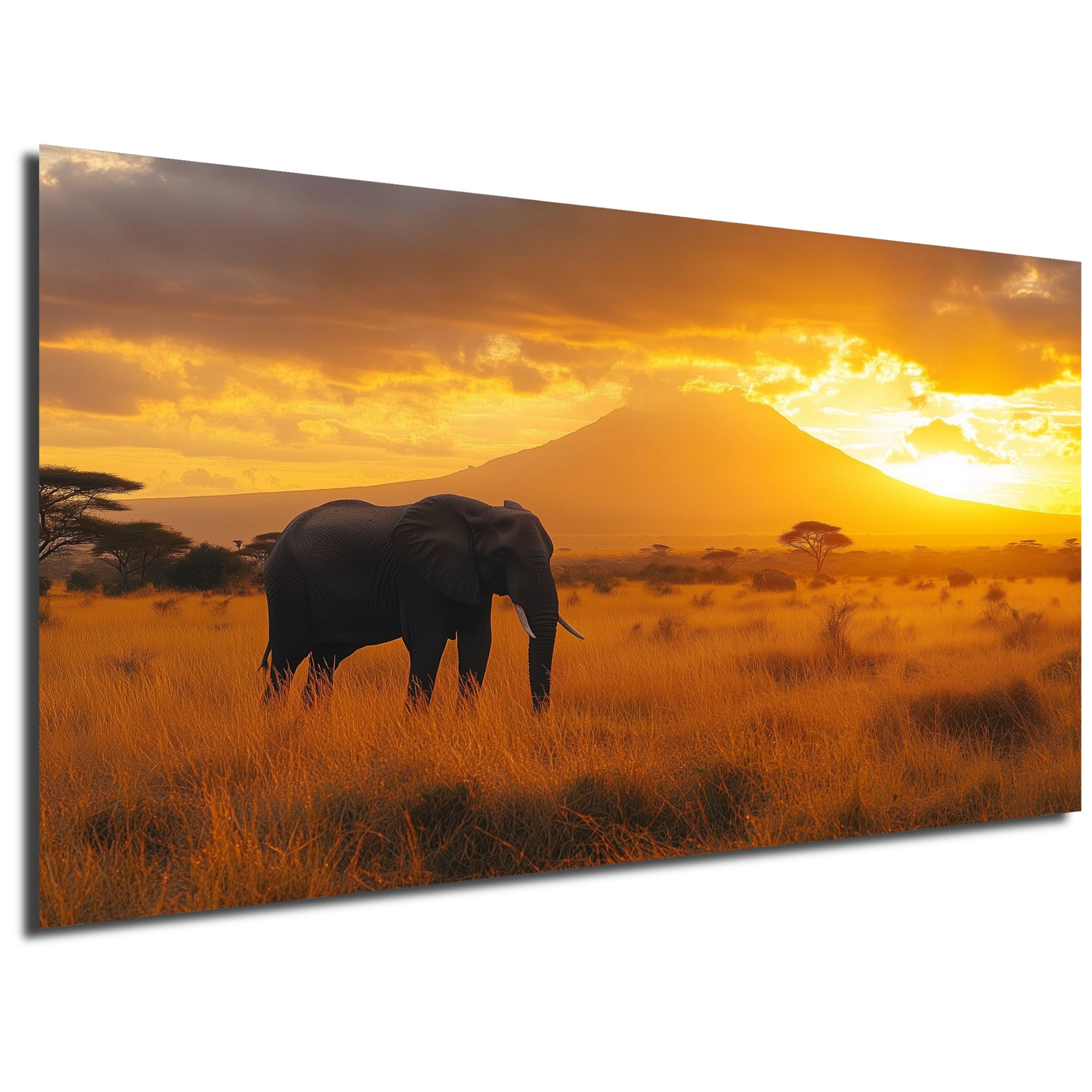 DARO Design Leinwandbild Modern Abstrakt Wandbilder XXL Wandbild Wand Deko günstig online kaufen
