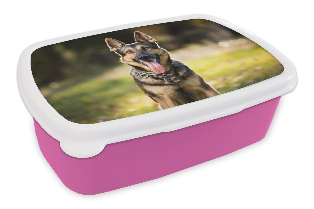 (2-tlg), MuchoWow Kinder, mit heraushängender Kunststoff rosa für Ein Lunchbox Schäferhund Brotbox Mädchen, Zunge in die, Erwachsene, Deutscher Snackbox, Brotdose Kunststoff, lächelt