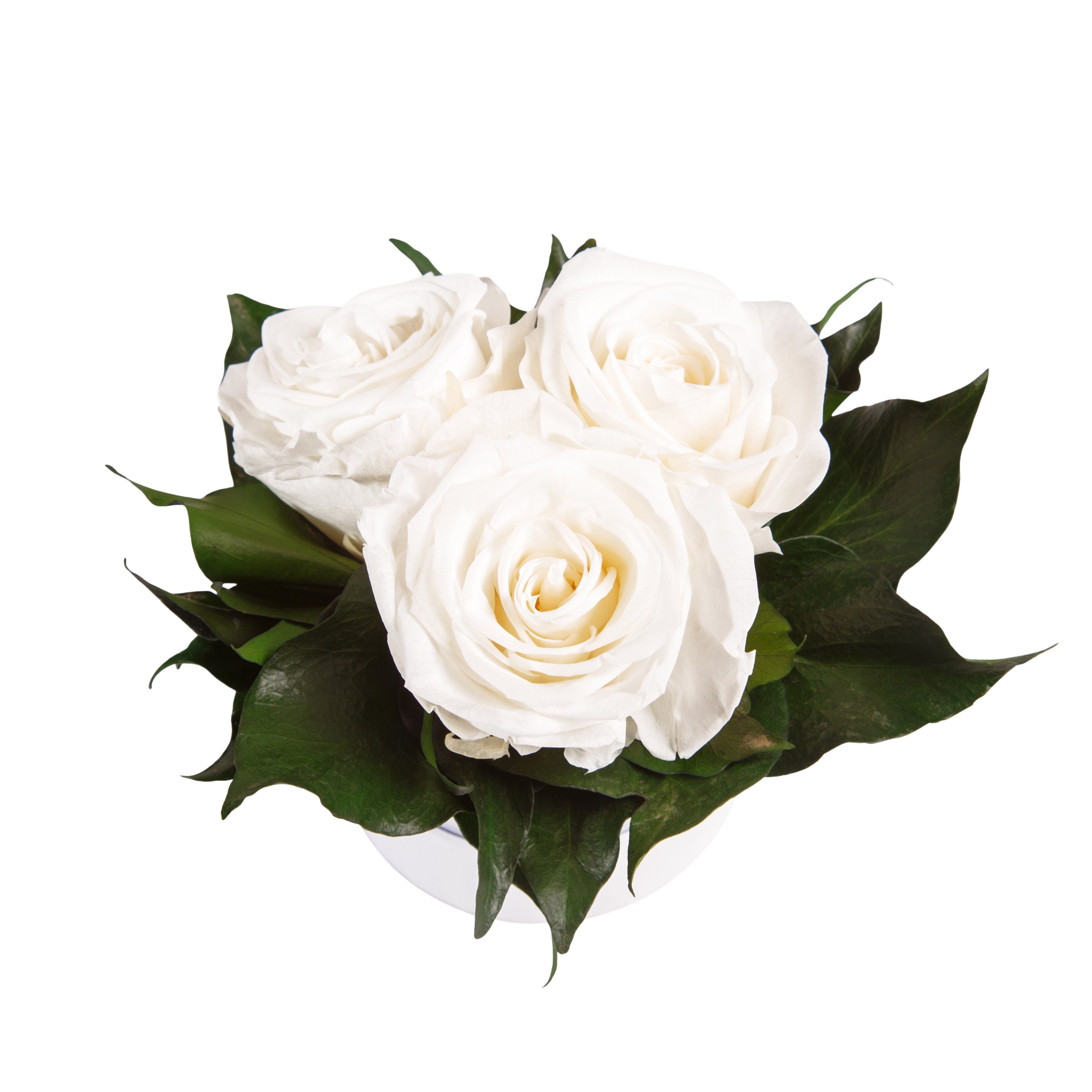 Kunstblume Infinity für Geschenk Heidelberg, ROSEMARIE Rosenbox 3 cm, echte rund Rosen weiß Sie Rosen Höhe SCHULZ Rose, 10 konserviert