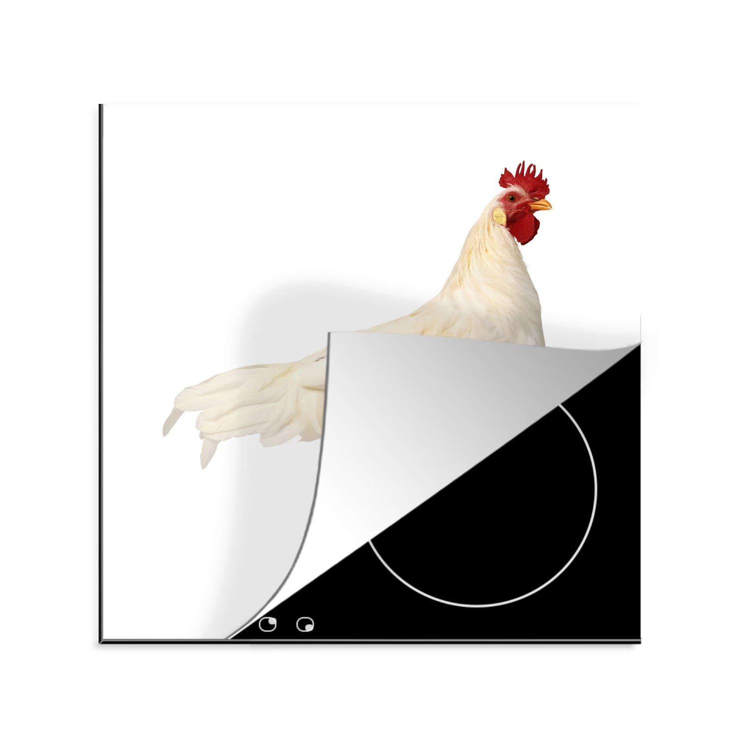 MuchoWow Herdblende-/Abdeckplatte Hahn auf weißem Hintergrund, Vinyl, (1 tlg), 78x78 cm, Ceranfeldabdeckung, Arbeitsplatte für küche