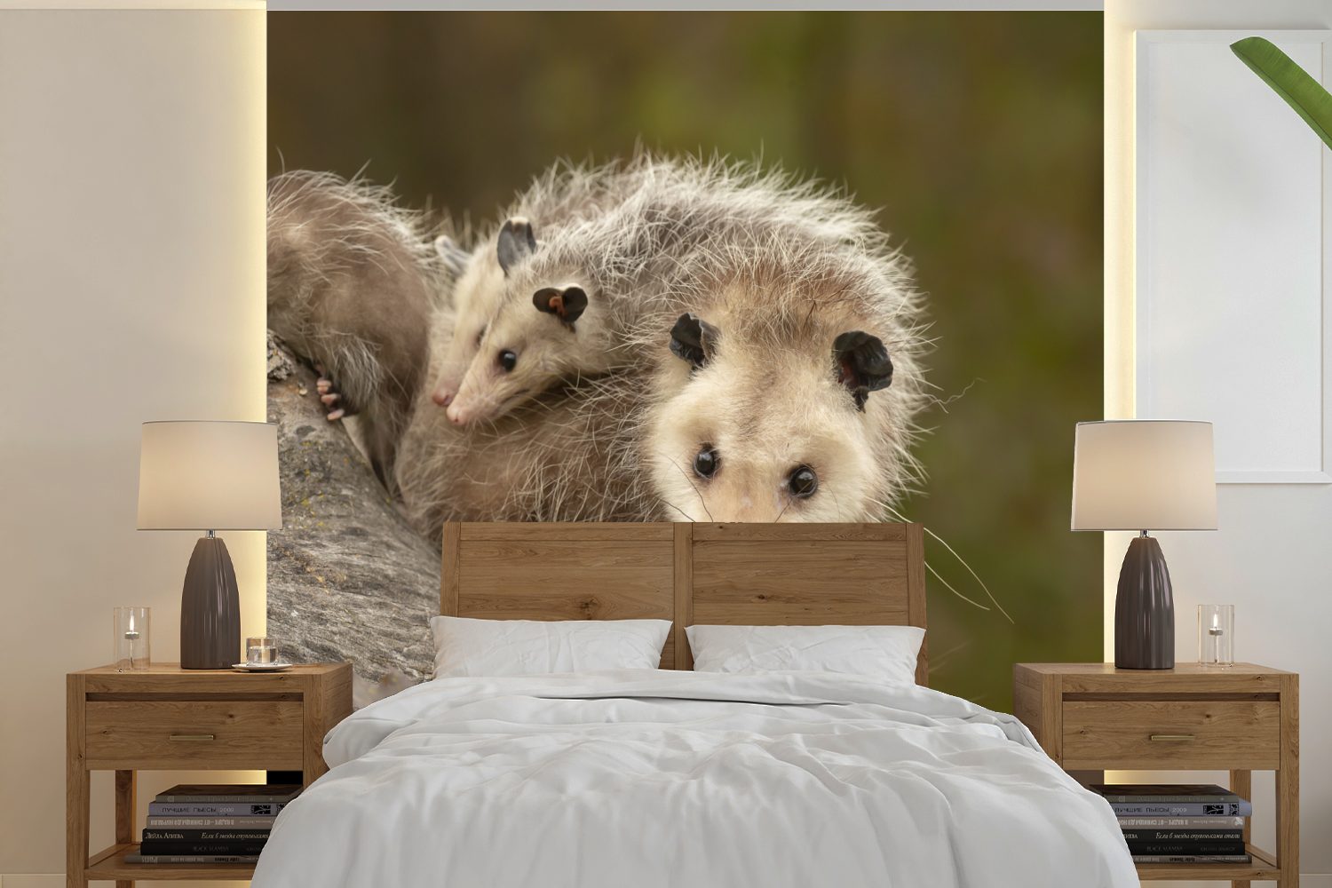 St), Virginisches mit Opossum MuchoWow Wandtapete Matt, oder Tapete (5 Schlafzimmer, Fototapete für Wohnzimmer Jungtier, bedruckt, Vinyl