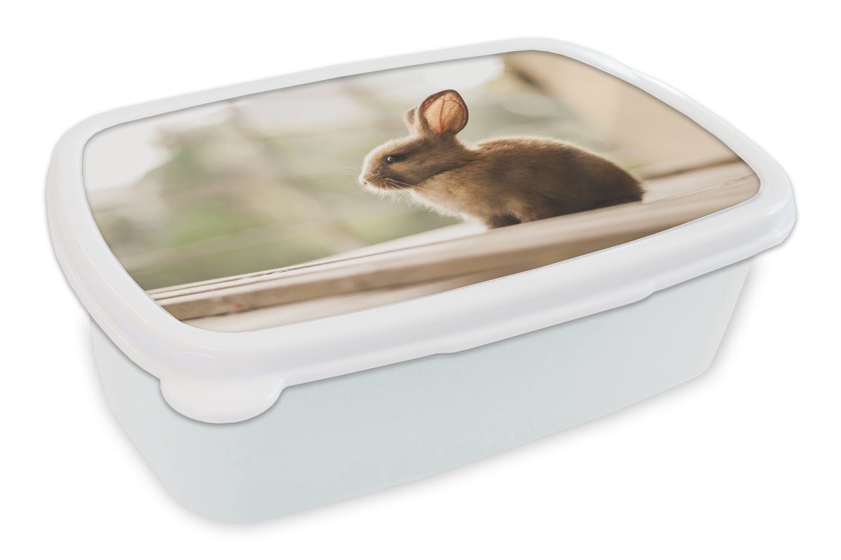 MuchoWow Lunchbox Kaninchen - Baby - Tier, Kunststoff, (2-tlg), Brotbox für Kinder und Erwachsene, Brotdose, für Jungs und Mädchen weiß