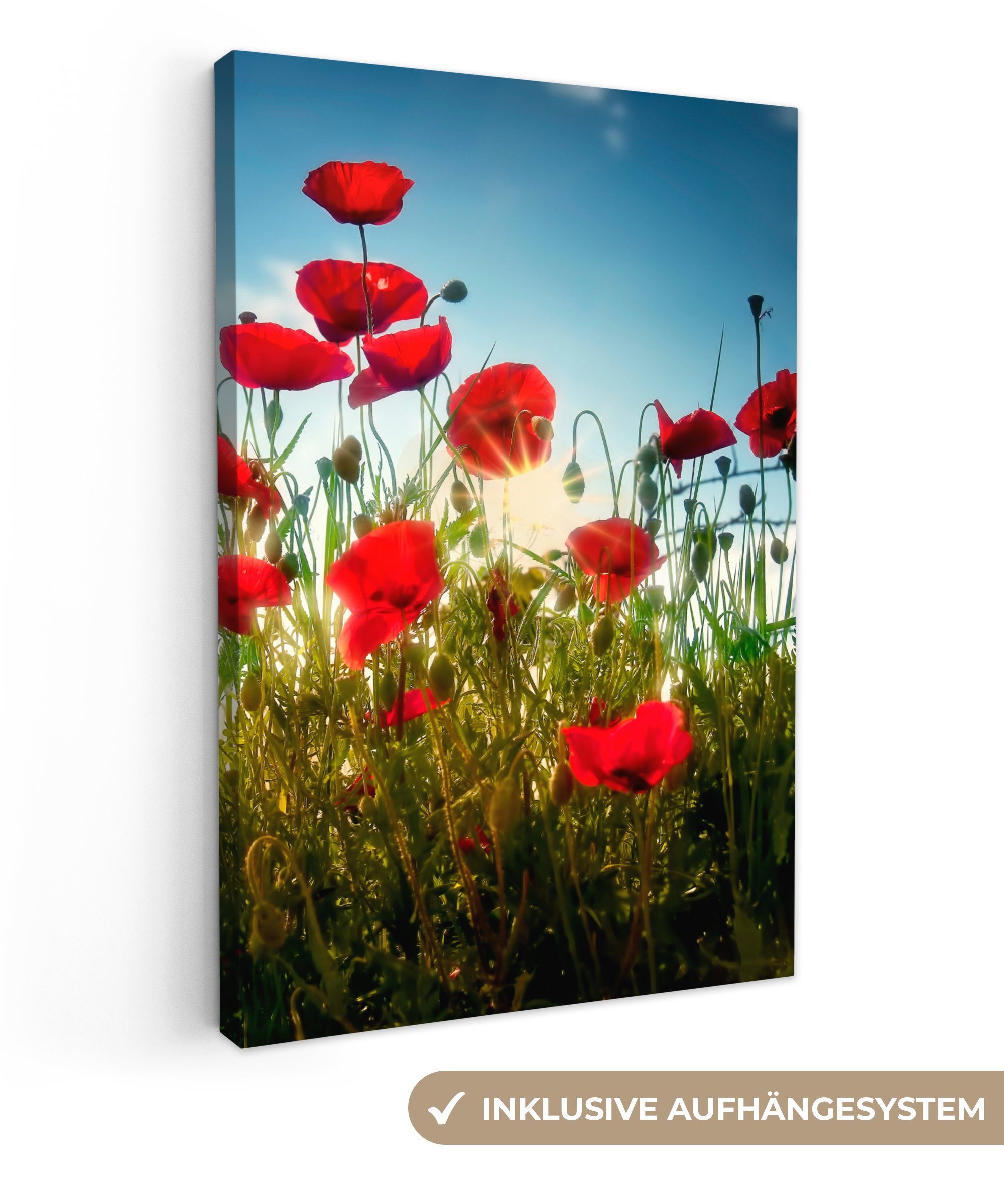 OneMillionCanvasses® Leinwandbild Mohnblumen - Toskana - Sonne - Rot - Blau günstig online kaufen