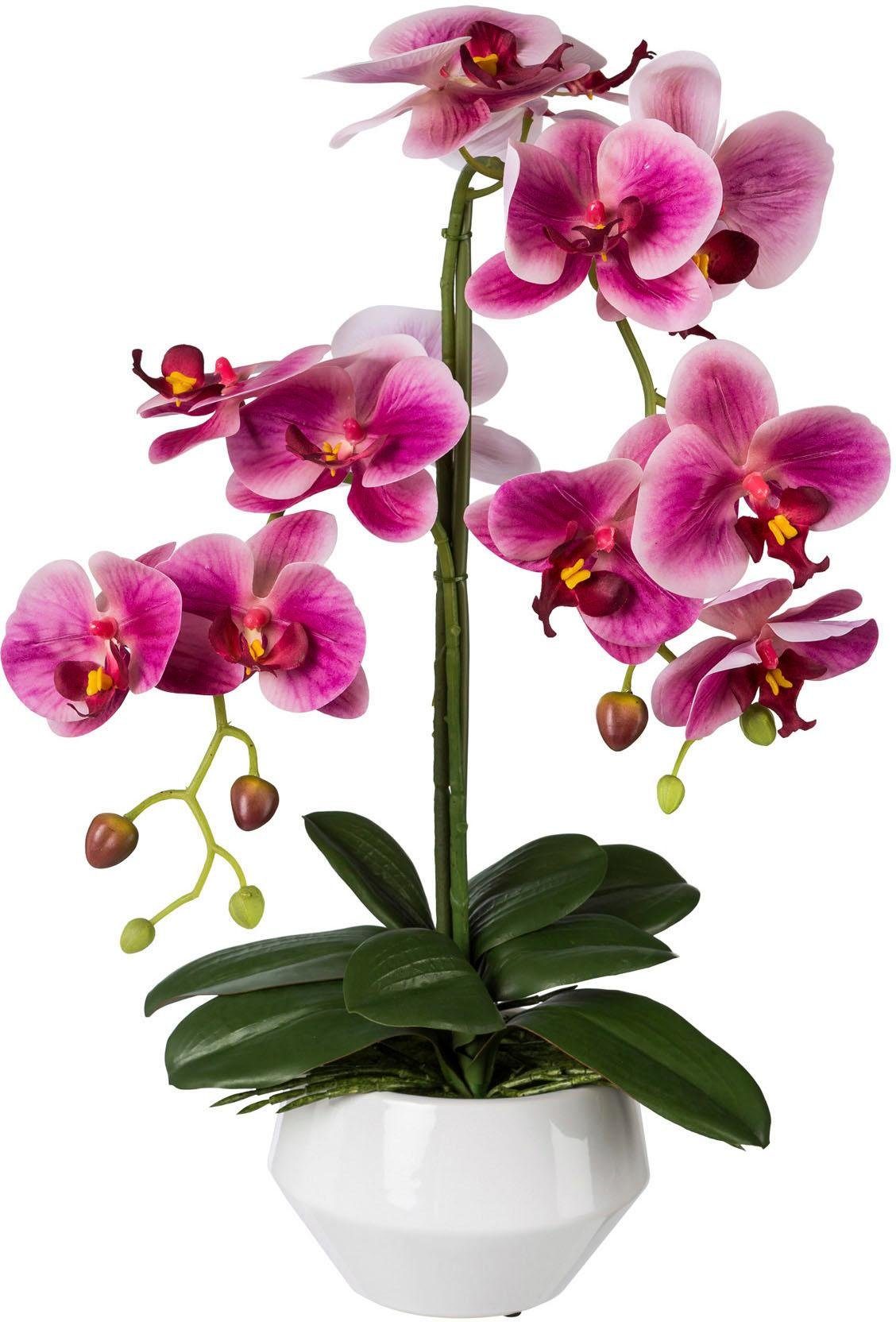Kunstpflanze Orchidee, Creativ green, Höhe 52 günstig online kaufen