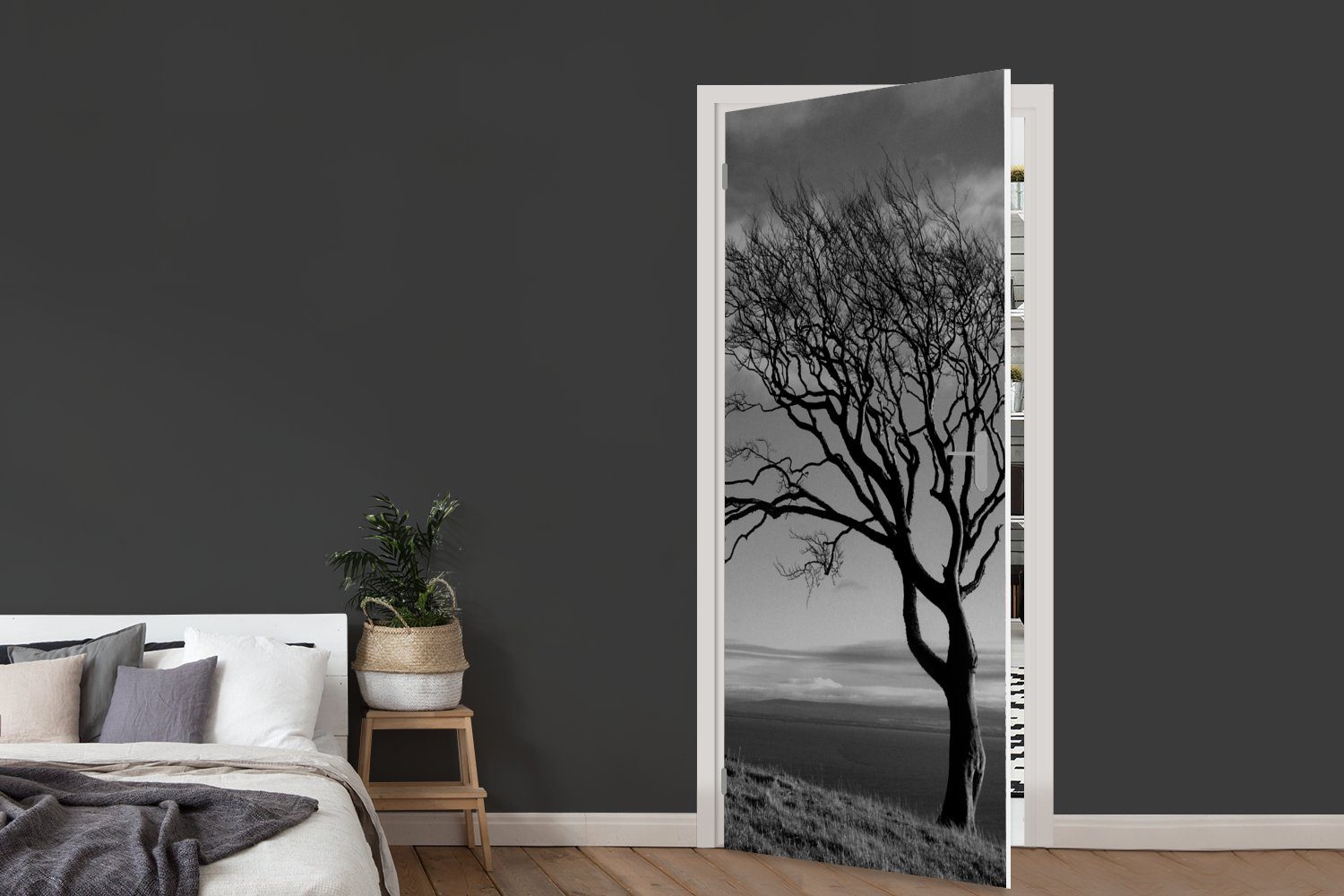 MuchoWow Türtapete St), Tür, bedruckt, Türaufkleber, (1 Fototapete 75x205 cm weiß, und schwarz für Winterfoto Matt, Buche