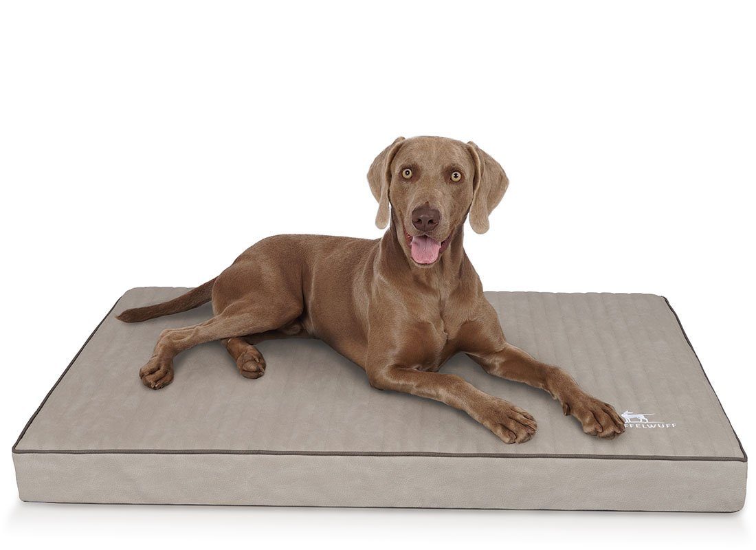 Knuffelwuff Hundematte Palomino, Orthopädisch günstig online kaufen