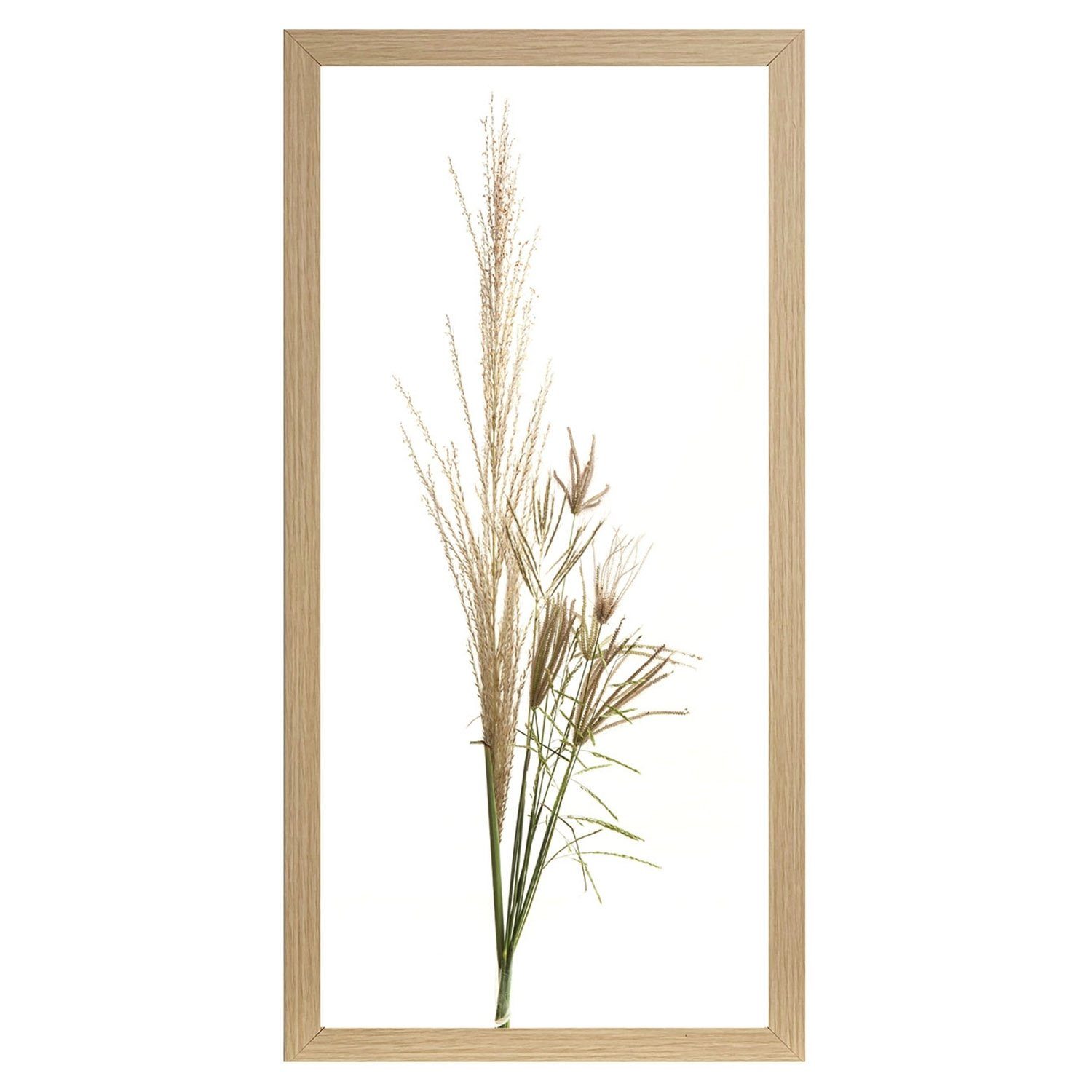 Wandbild Gerahmter Kunstdruck, Braun, Weiß, B 23 cm, Gräser (1 St), Grün, G günstig online kaufen