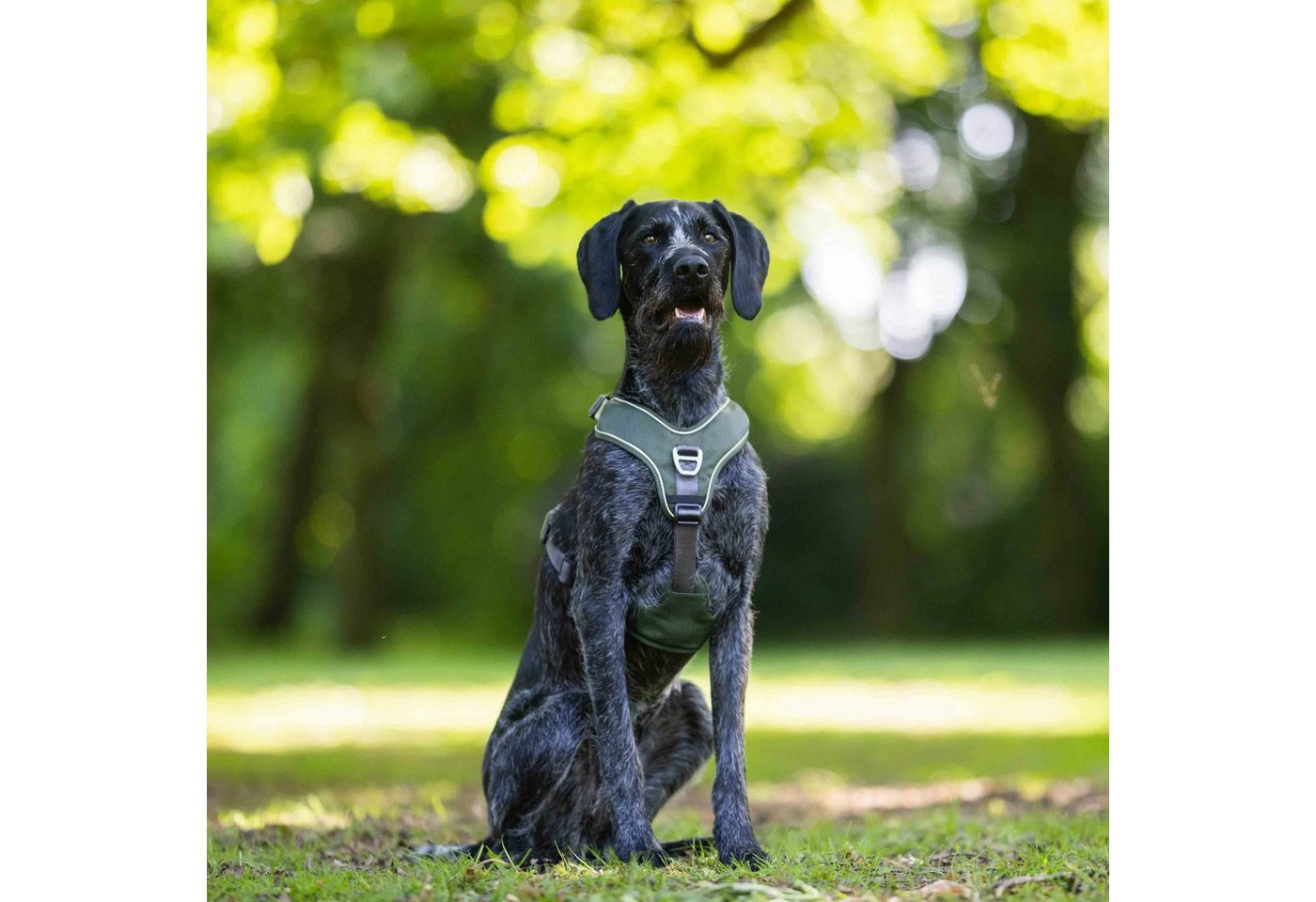 Thumbnail - Wolters Hunde-Geschirr Active Pro Comfort Hundegeschirr grün / anthrazit - 60-75 cm