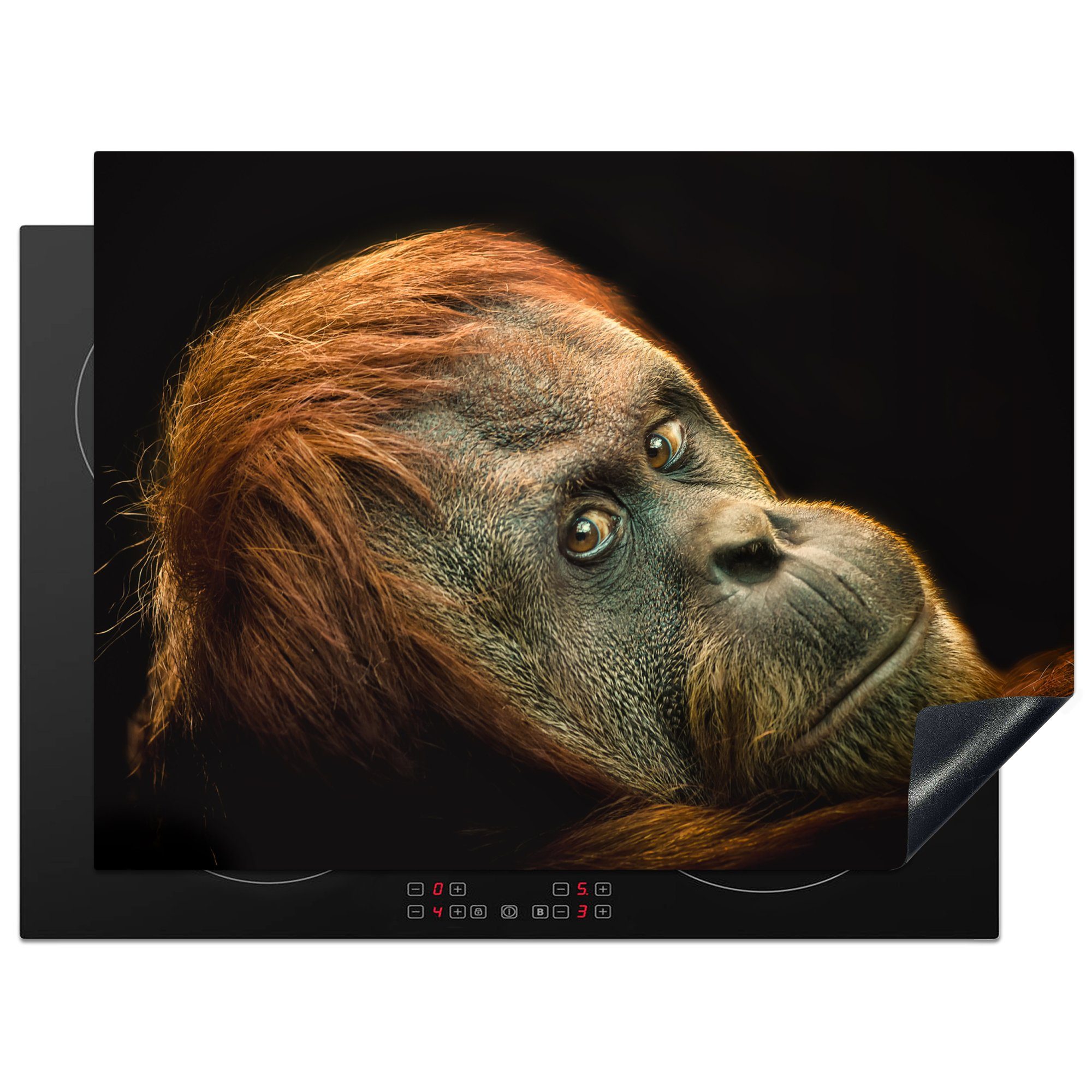 MuchoWow Herdblende-/Abdeckplatte Ein Orang-Utan vor einem schwarzen Hintergrund, Vinyl, (1 tlg), 71x52 cm, Induktionskochfeld Schutz für die küche, Ceranfeldabdeckung