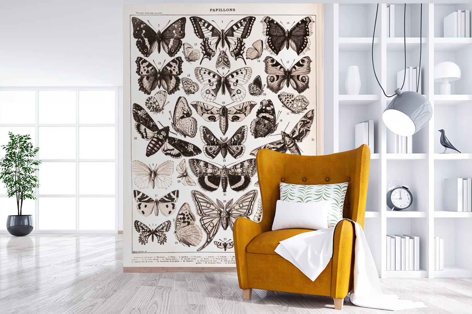 MuchoWow Fototapete Schmetterling - Tiere Weiß, St), Vinyl - Schwarz (4 Wohnzimmer, Wandtapete Matt, für Tapete - Montagefertig bedruckt