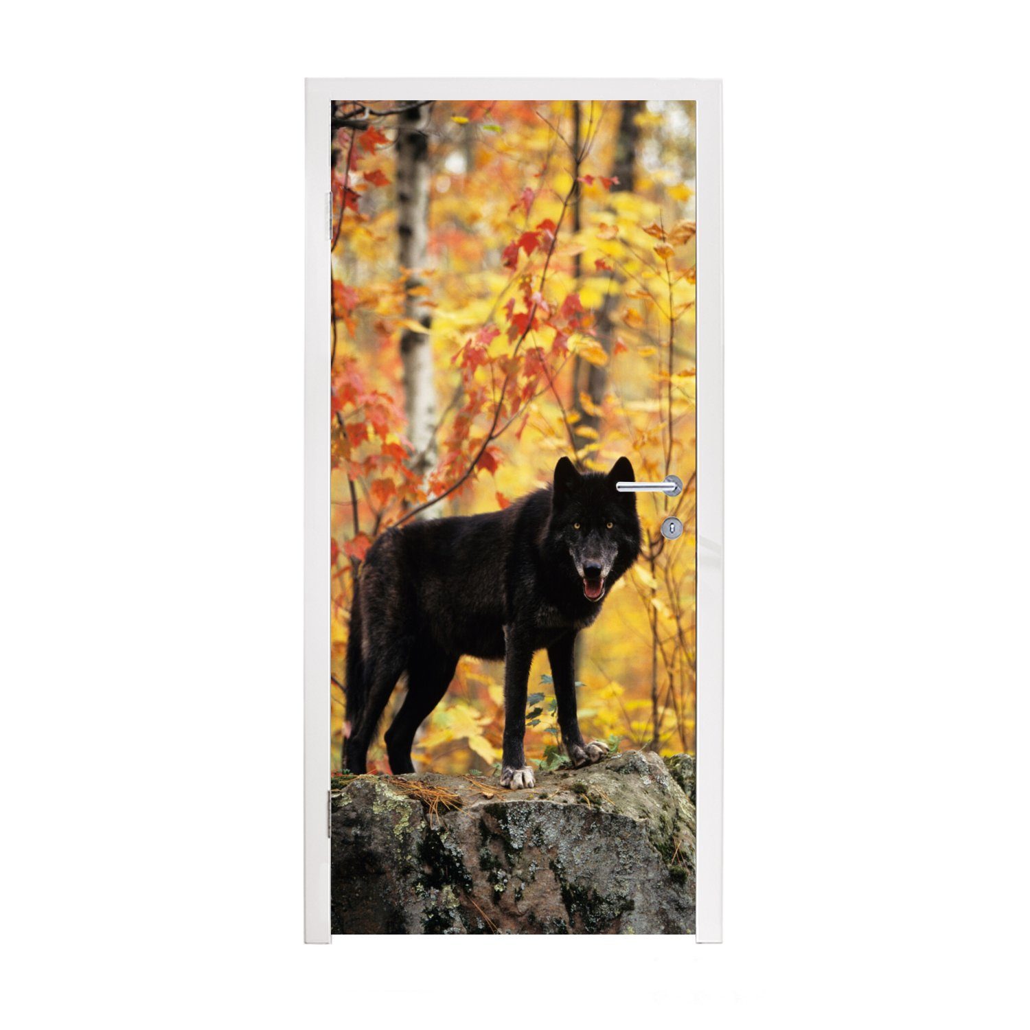 MuchoWow Türtapete Wolf - Fels - Baum, Matt, bedruckt, (1 St), Fototapete für Tür, Türaufkleber, 75x205 cm