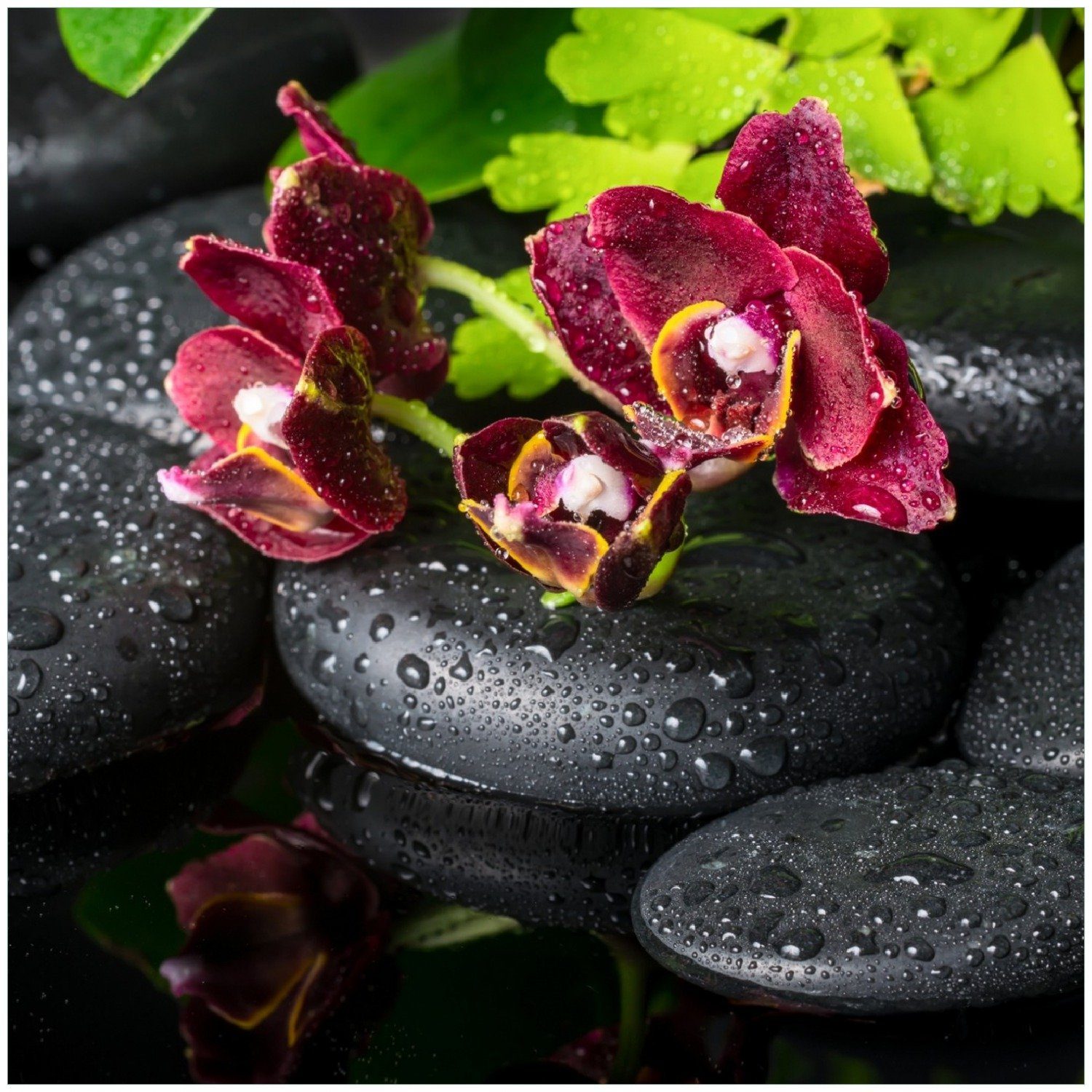 Wallario Memoboard Dunkelrote Orchideen-Blüte auf schwarzen Steinen mit Regentropfen